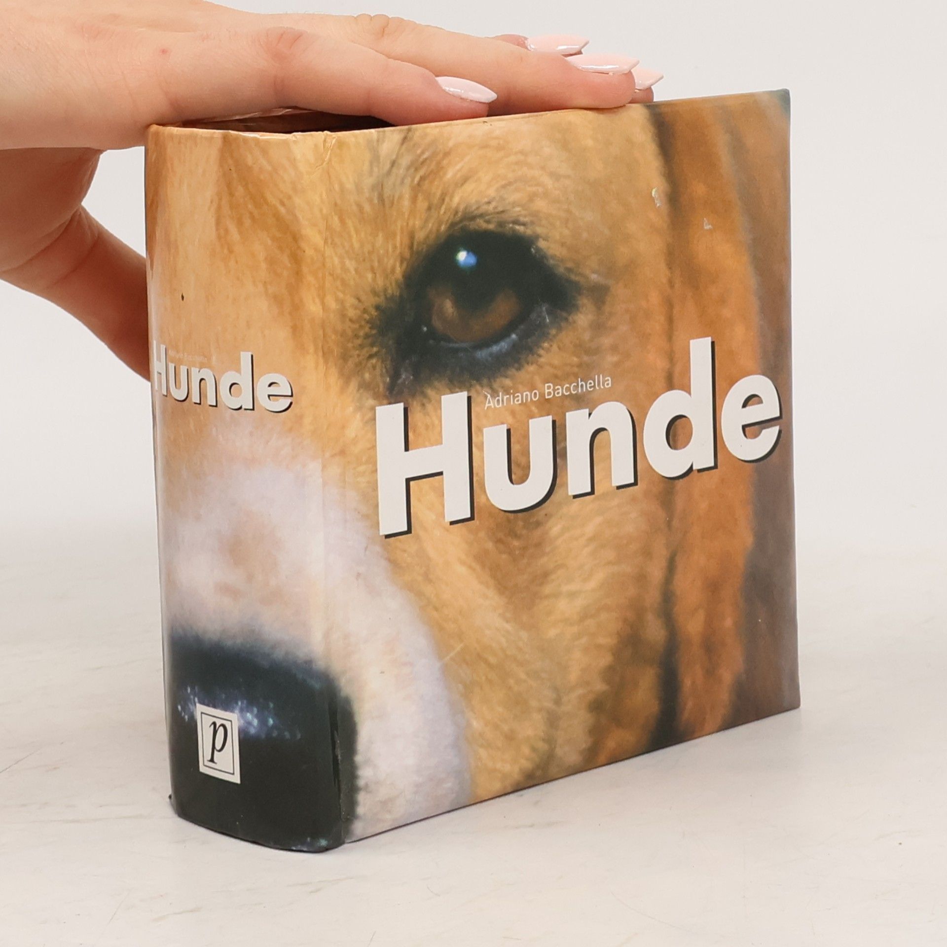 Adriano Bacchella Hunde
