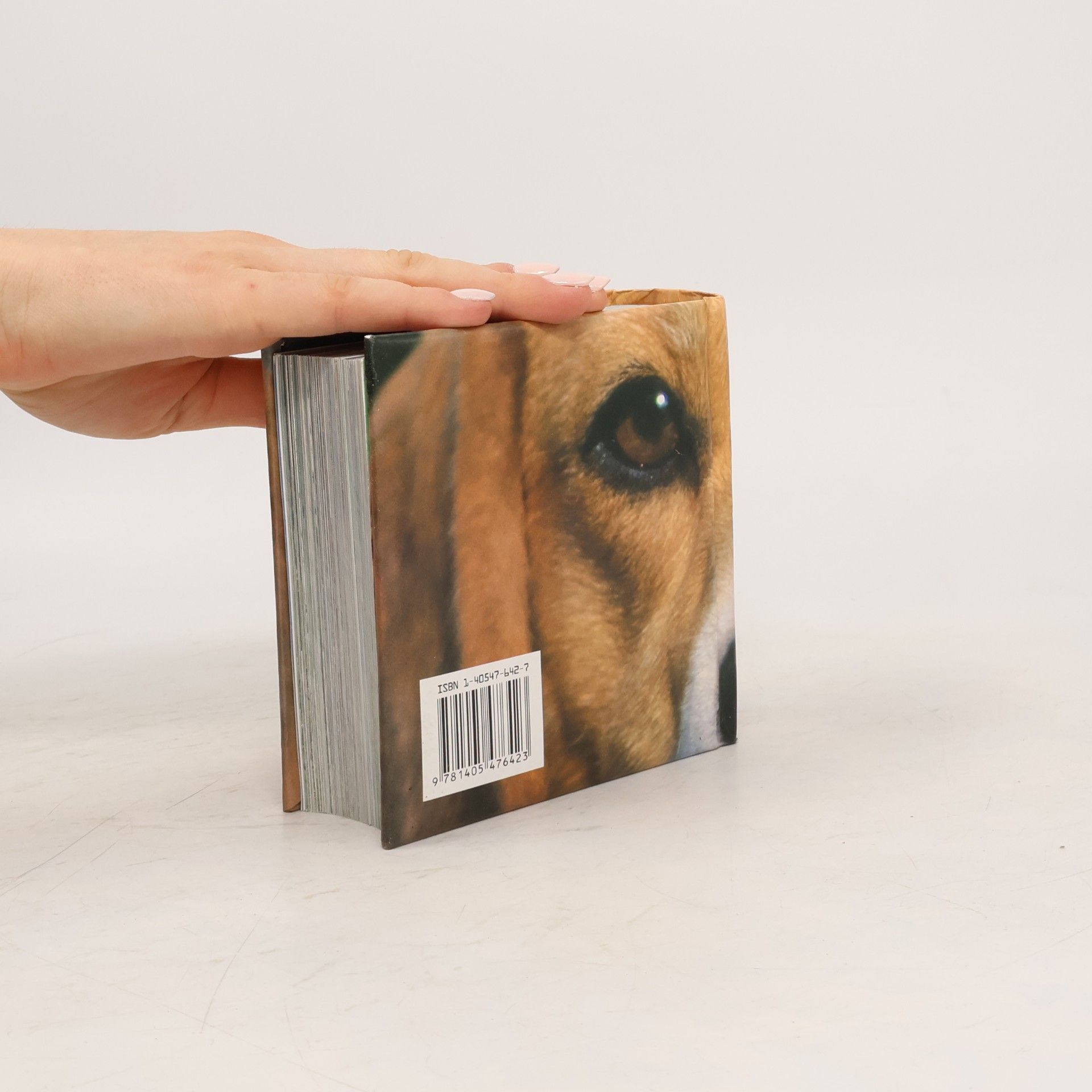 Adriano Bacchella Hunde