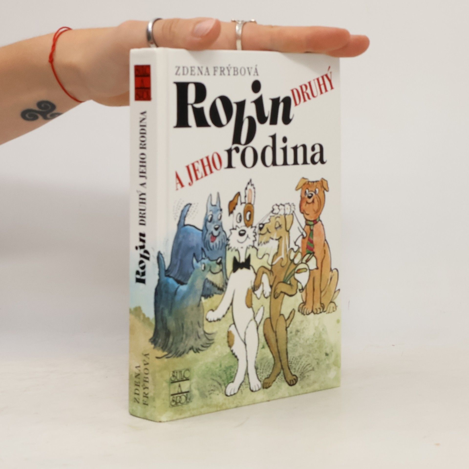 Zdena Frýbová Robin Druhý a jeho rodina