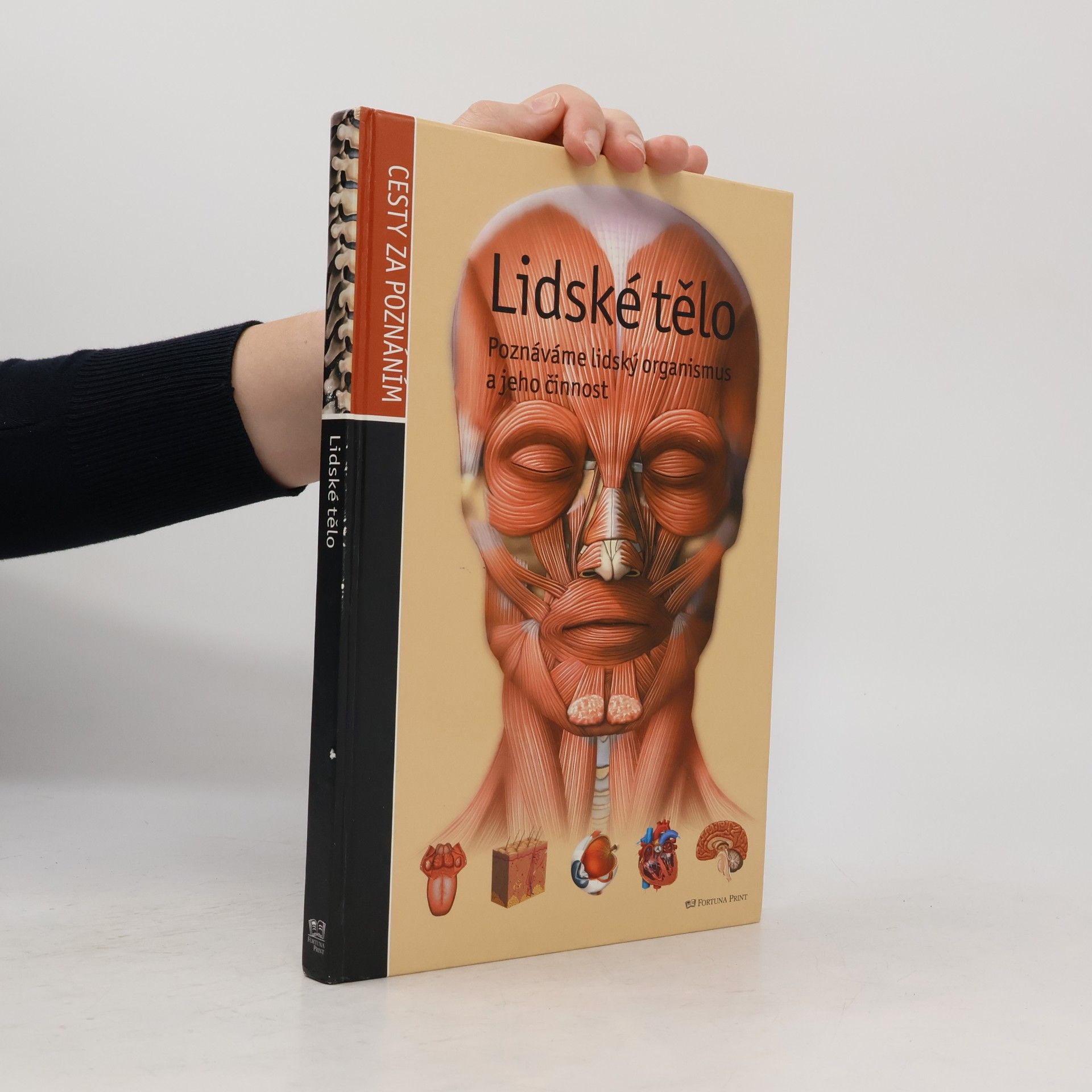 Autorenkollektiv Lidské tělo. Poznáváme lidský organismus a jeho činnost