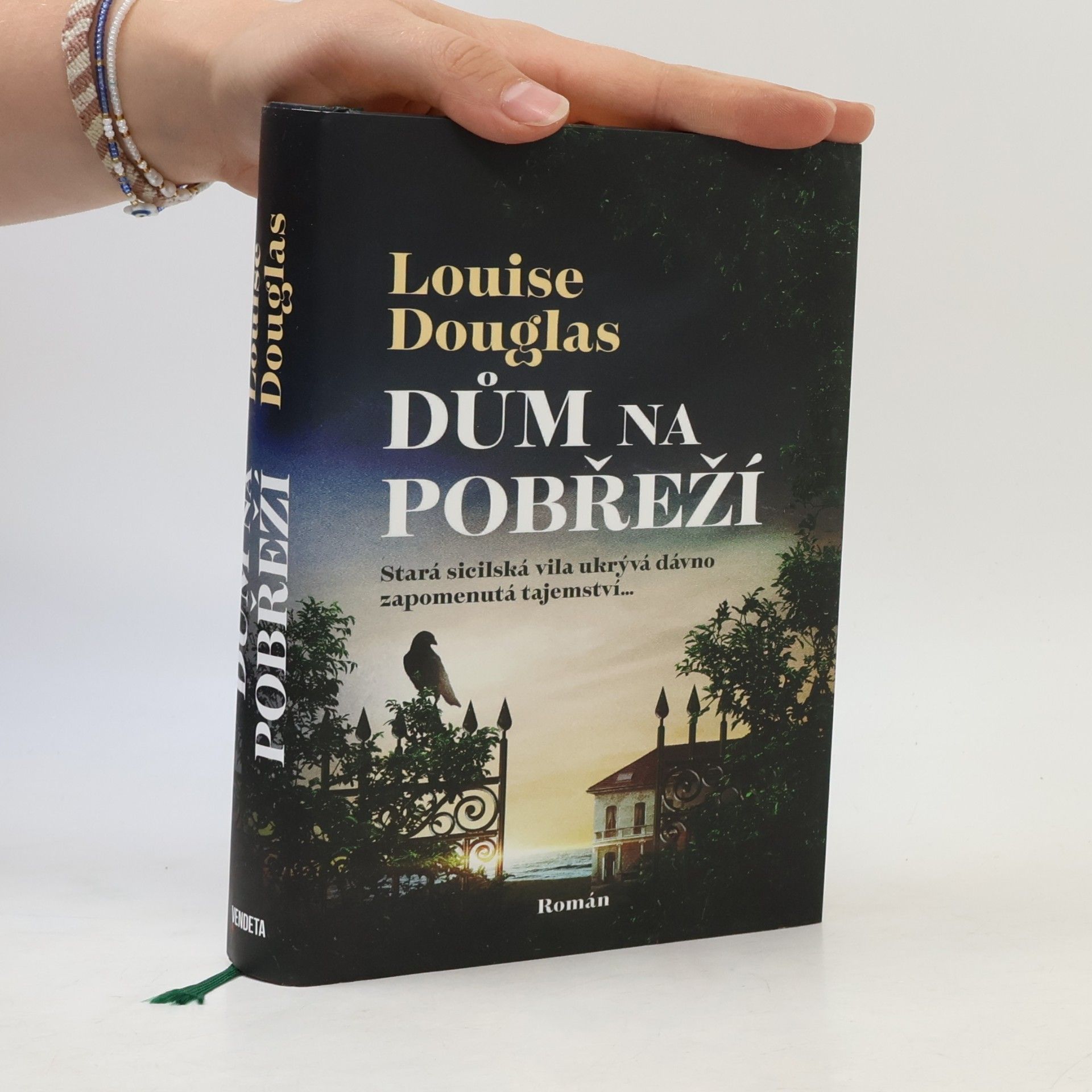 Pavla Koós Dům na pobřeží