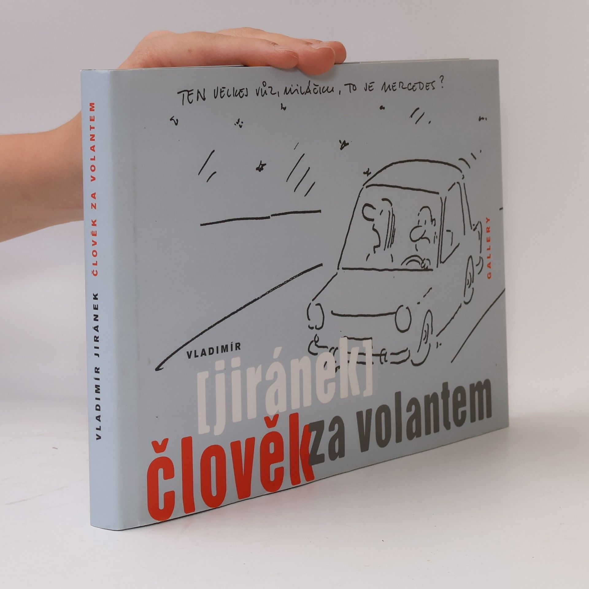 Člověk za volantem