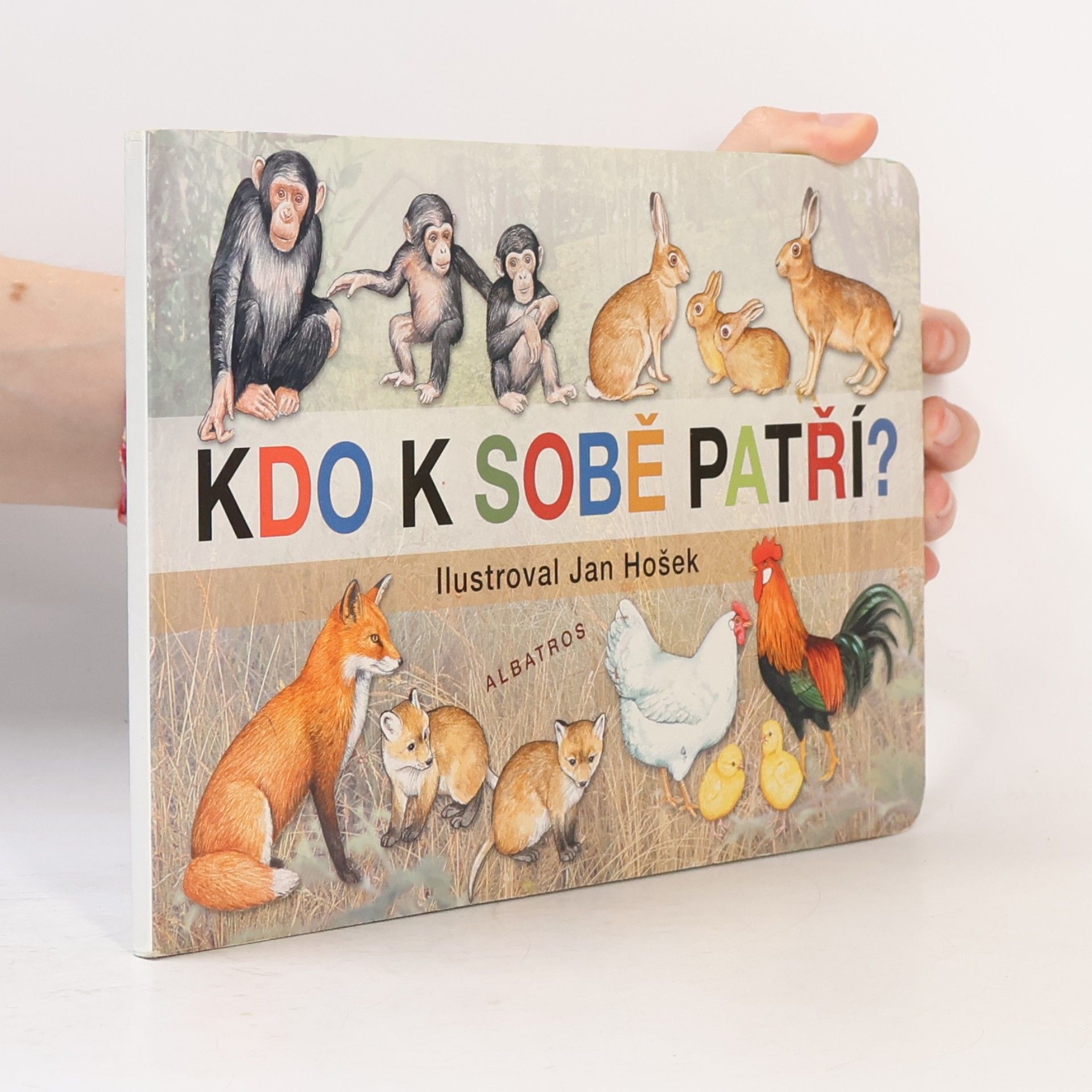 Jana Mikulecká Kdo k sobě patří
