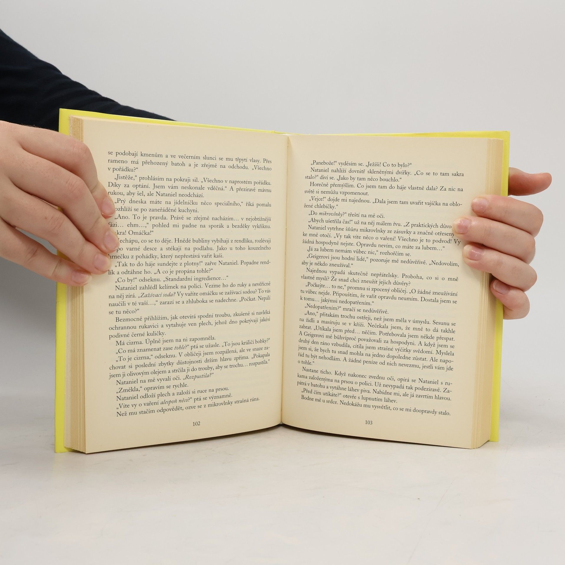 Sophie Kinsella Bohyně v domácnosti