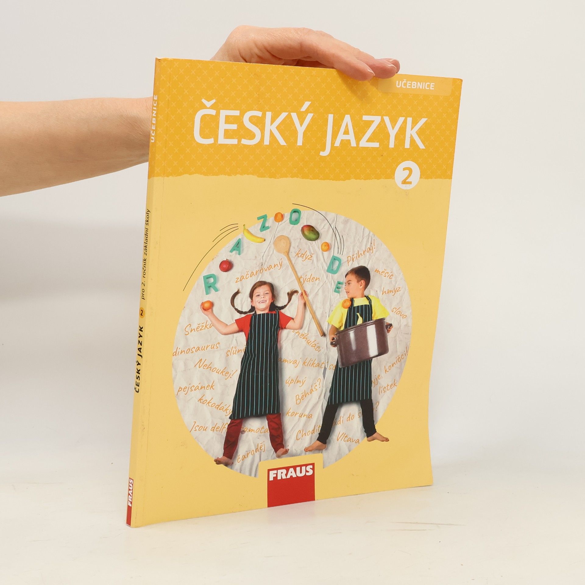 Autorenkollektiv Český jazyk 2