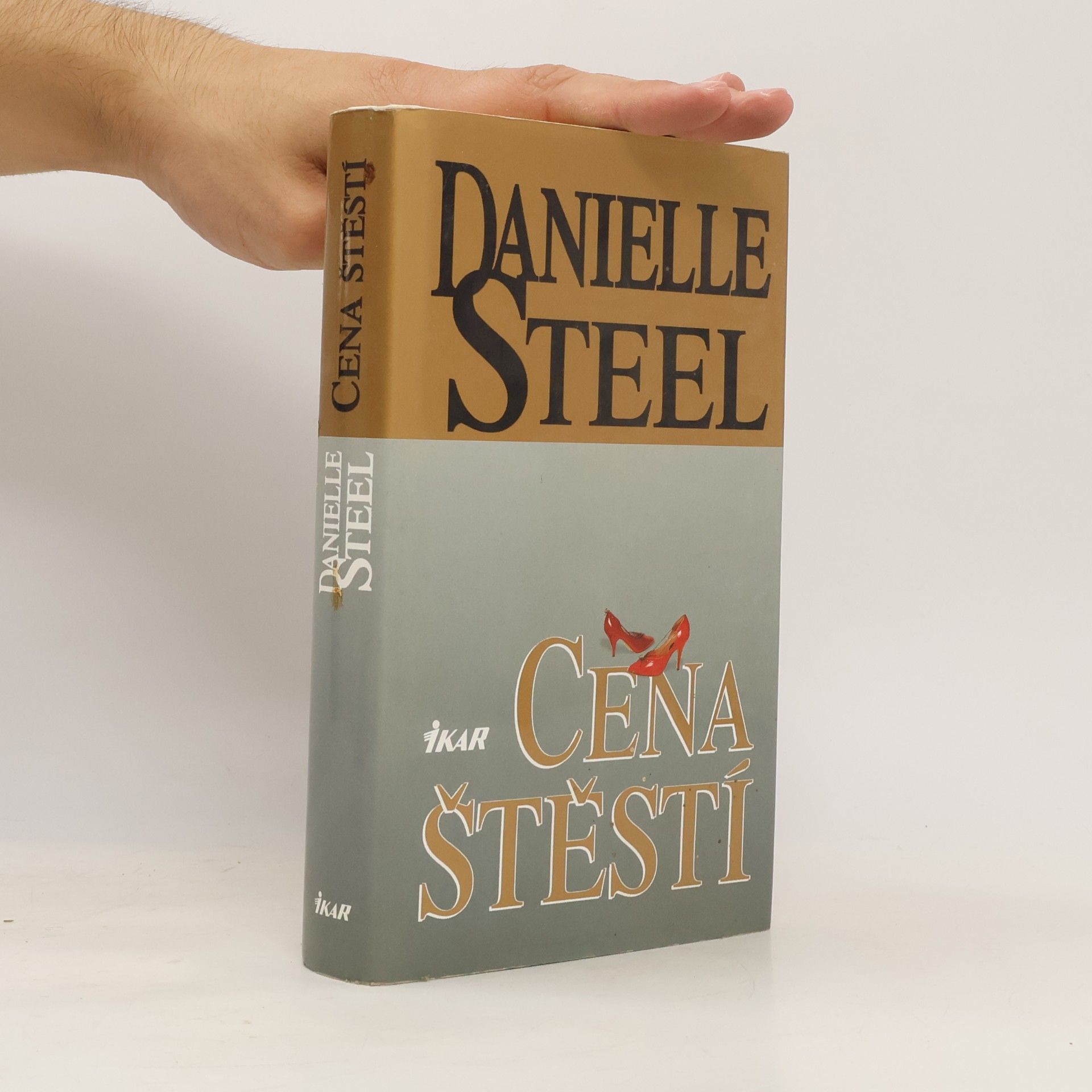 Danielle Steel Cena štěstí