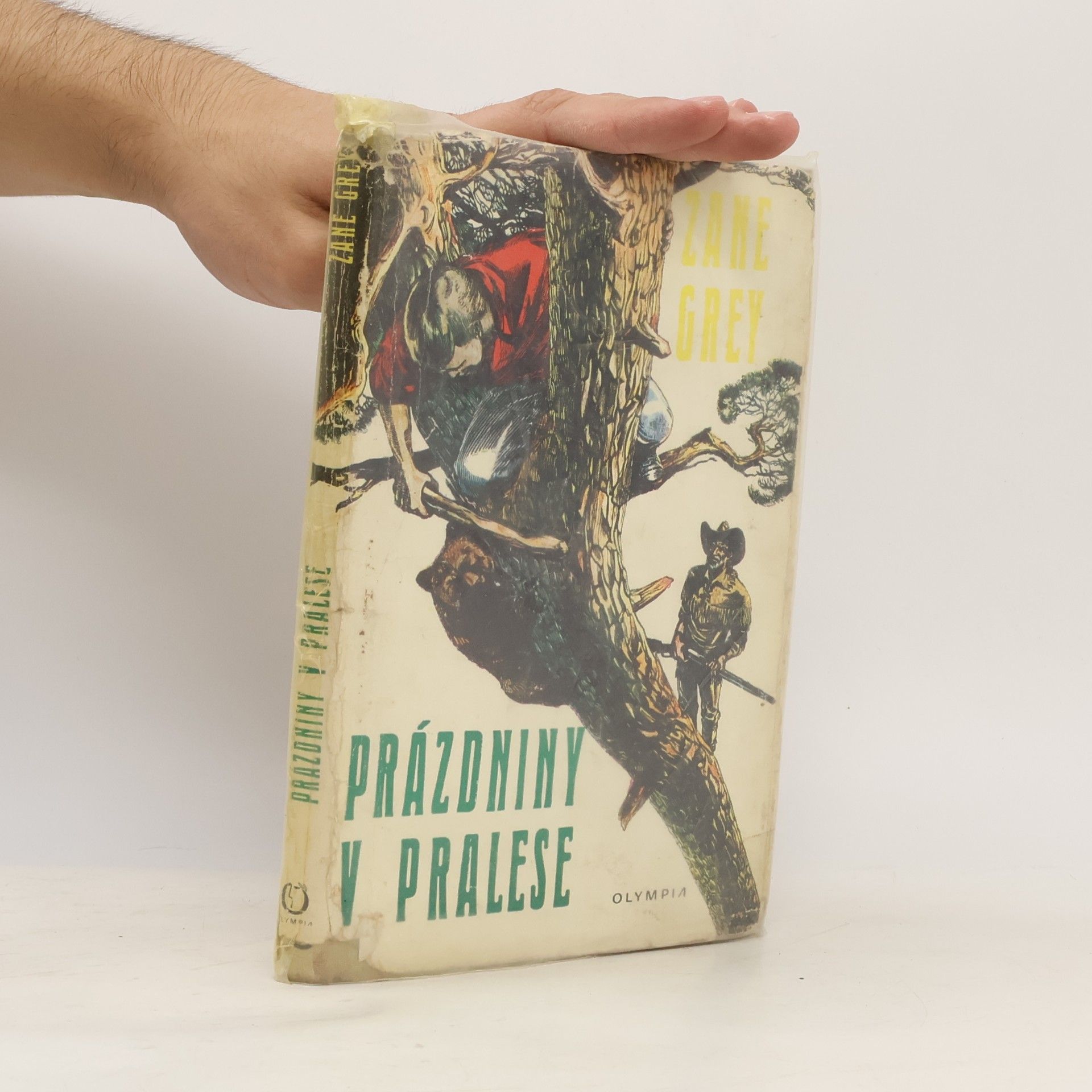 Prázdniny v pralese