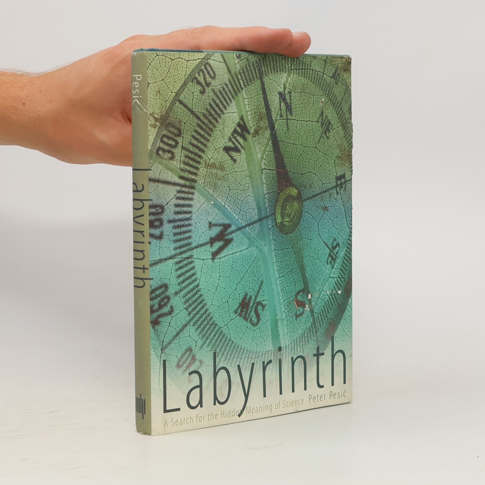 Peter Pesic Labyrinth