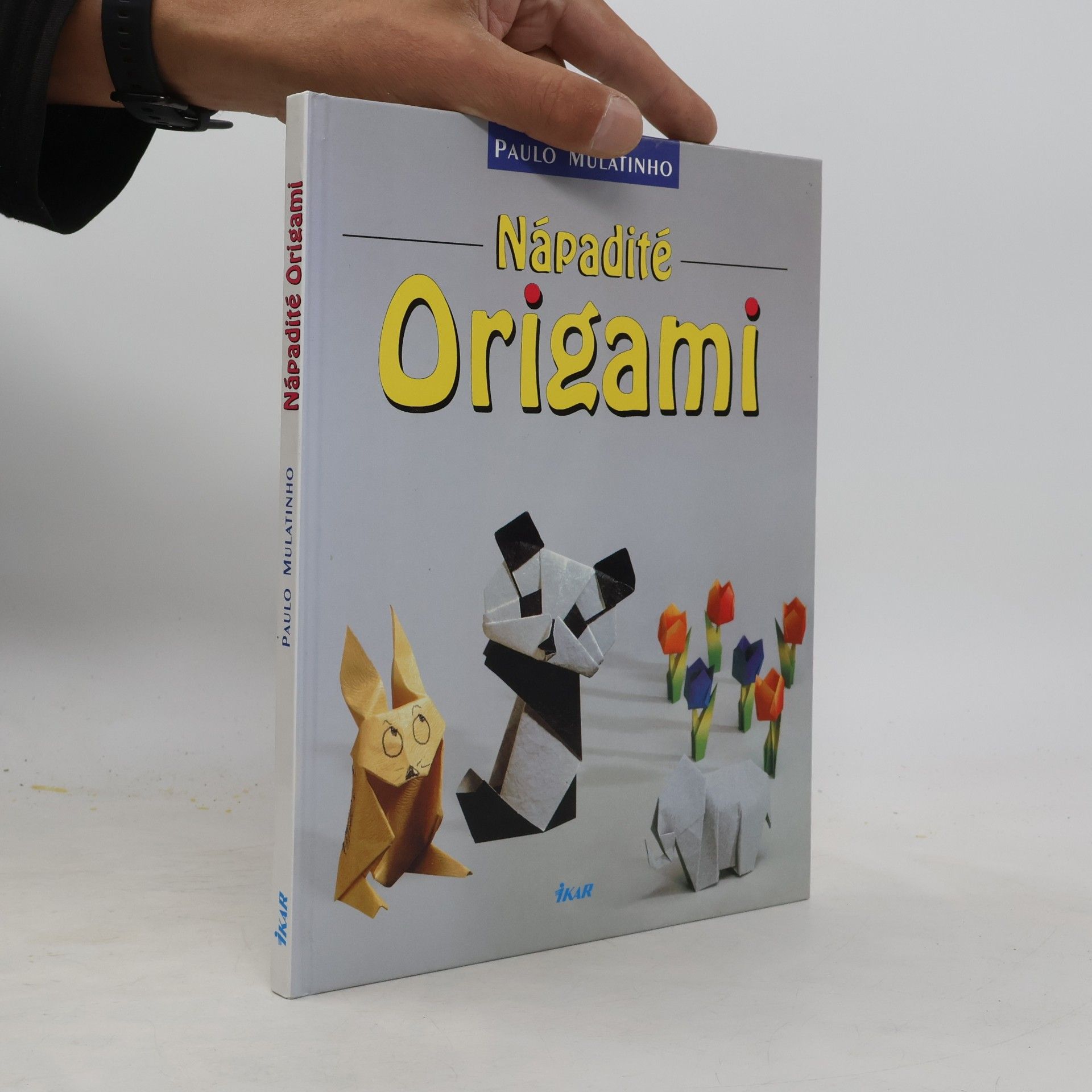 Paulo Mulatinho Nápadité origami