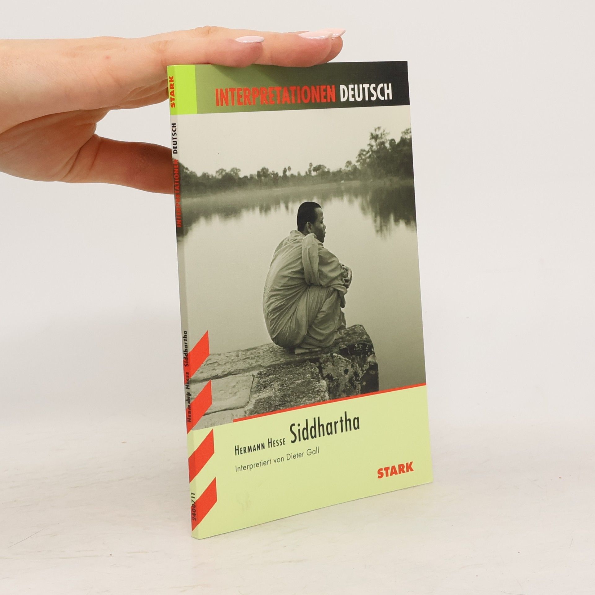 Dieter Gall Hermann Hesse Siddhartha