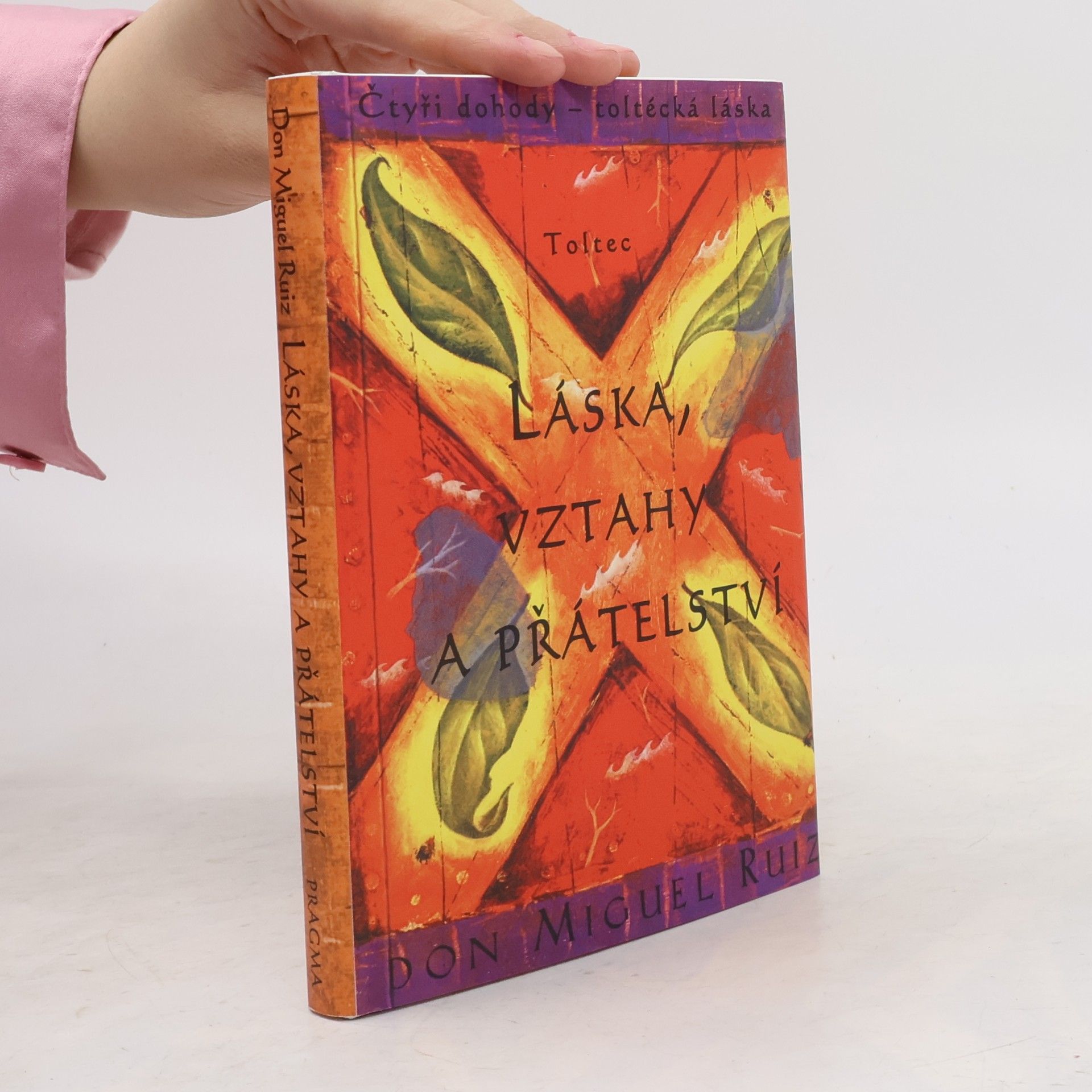 Don Miguel Ruiz Láska, vztahy a přátelství