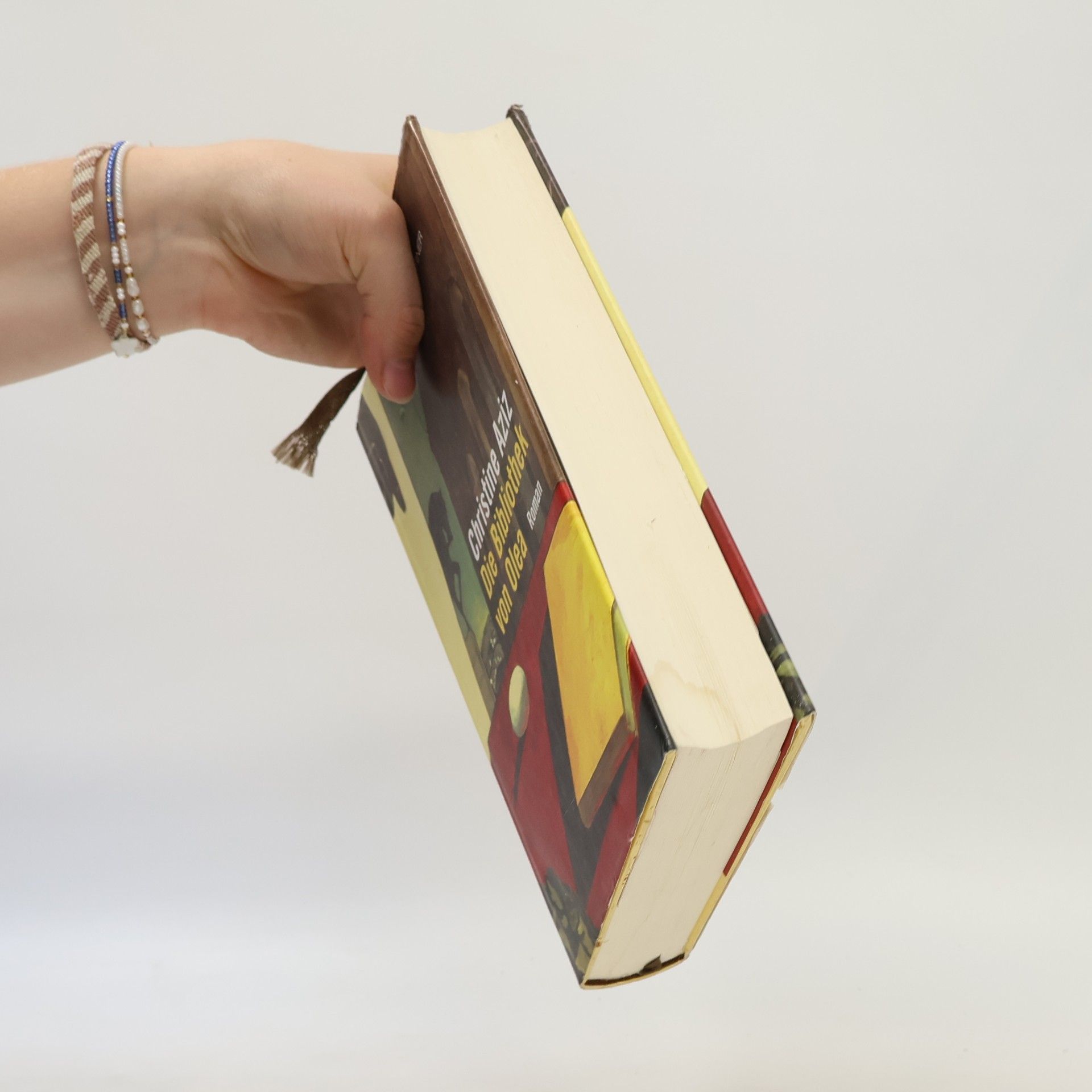 Christine Aziz Die Bibliothek von Olea