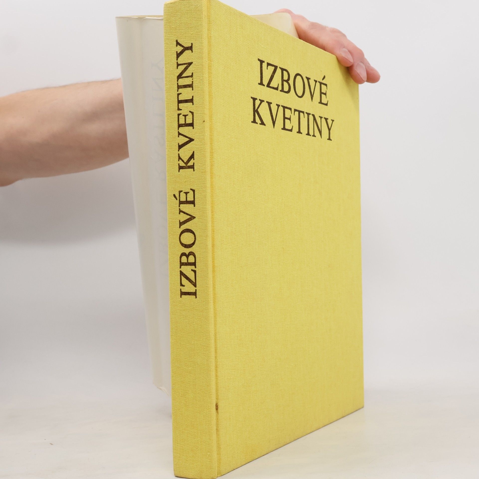 Izbové kvetiny