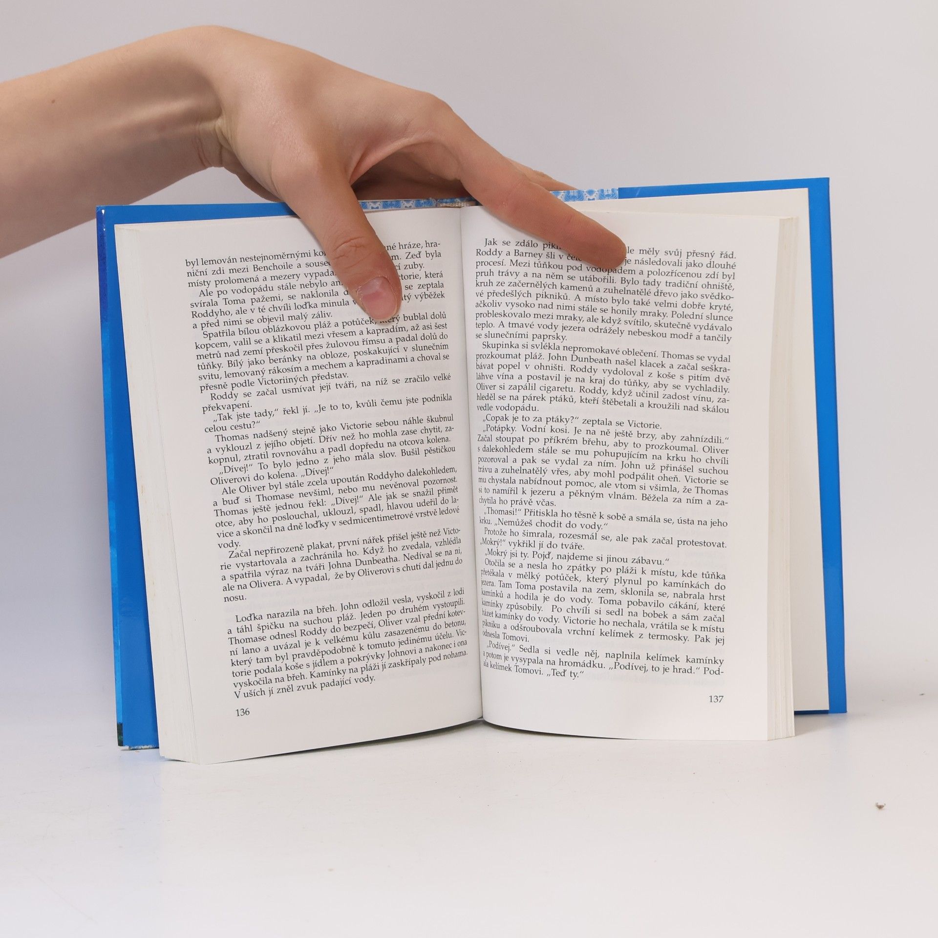 Rosamunde Pilcher Divoký tymián
