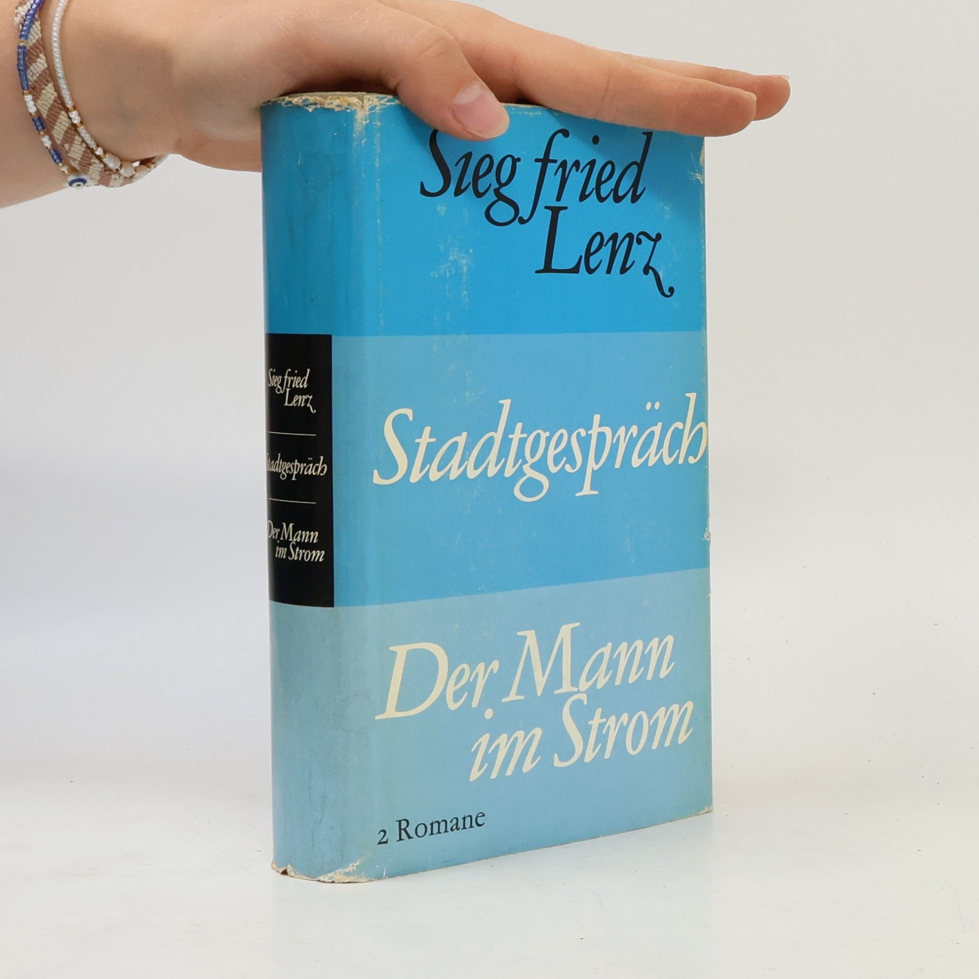 Siegfried Lenz Stadtgespräch. Der Mann im Strom