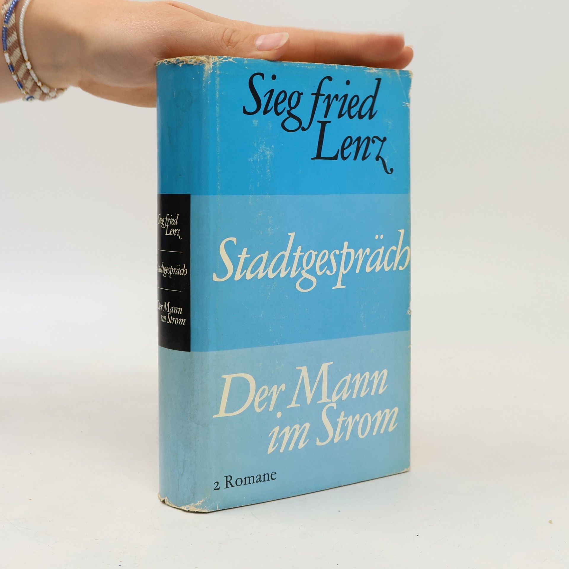 Siegfried Lenz Stadtgespräch. Der Mann im Strom