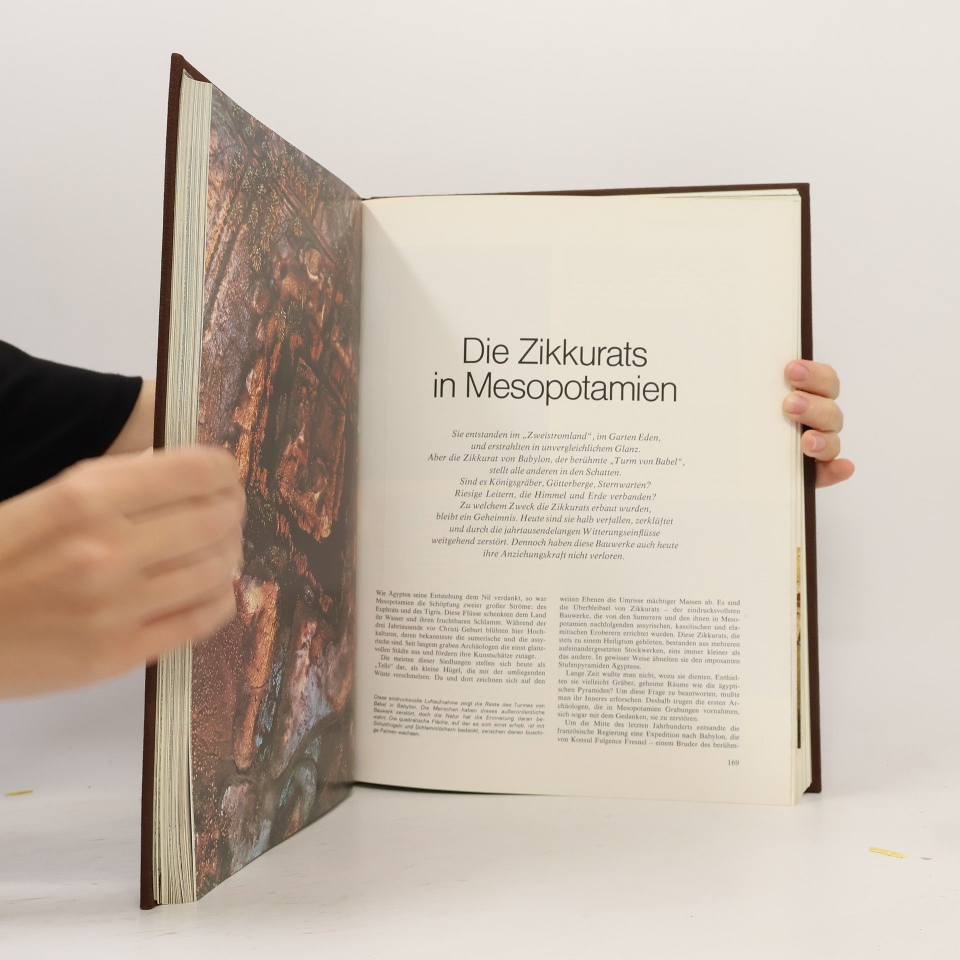 Sybille A. Rott Illfeld Die letzten Geheimnisse unserer Welt