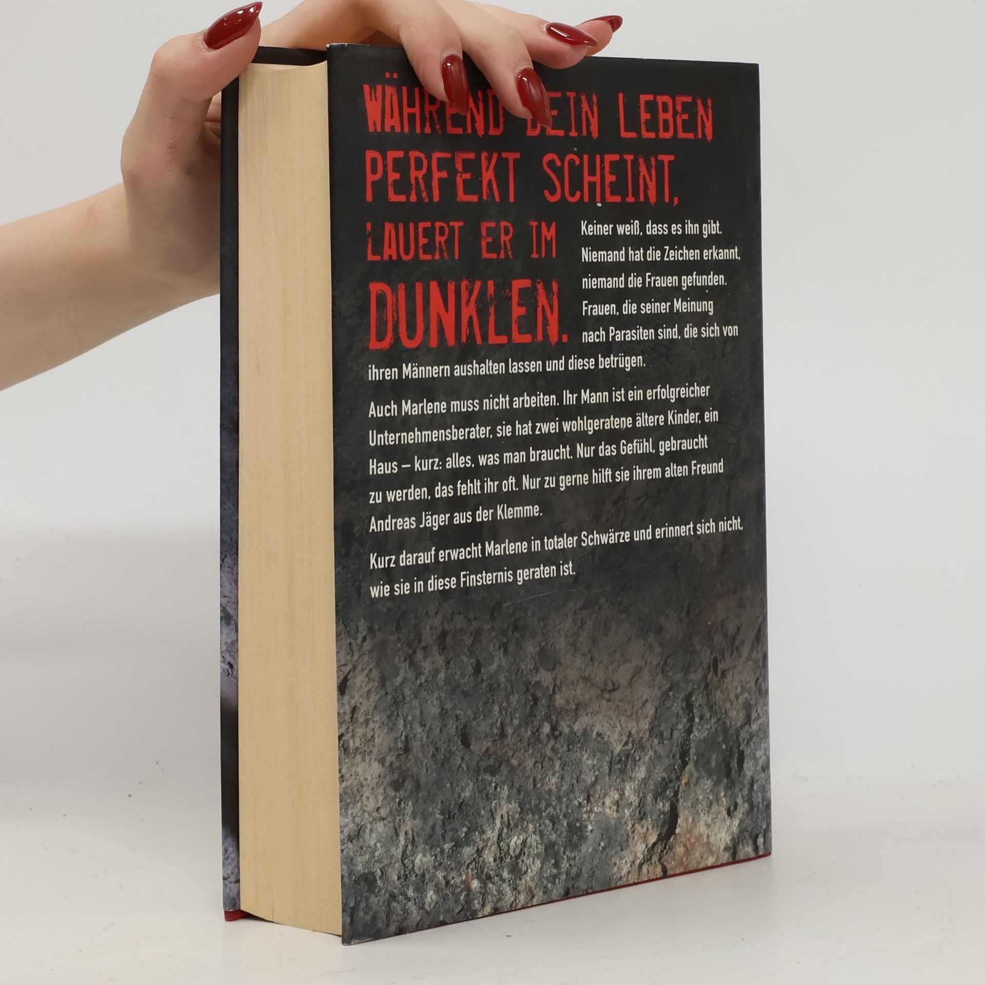 Susanne Falk Das Wunder von Treviso