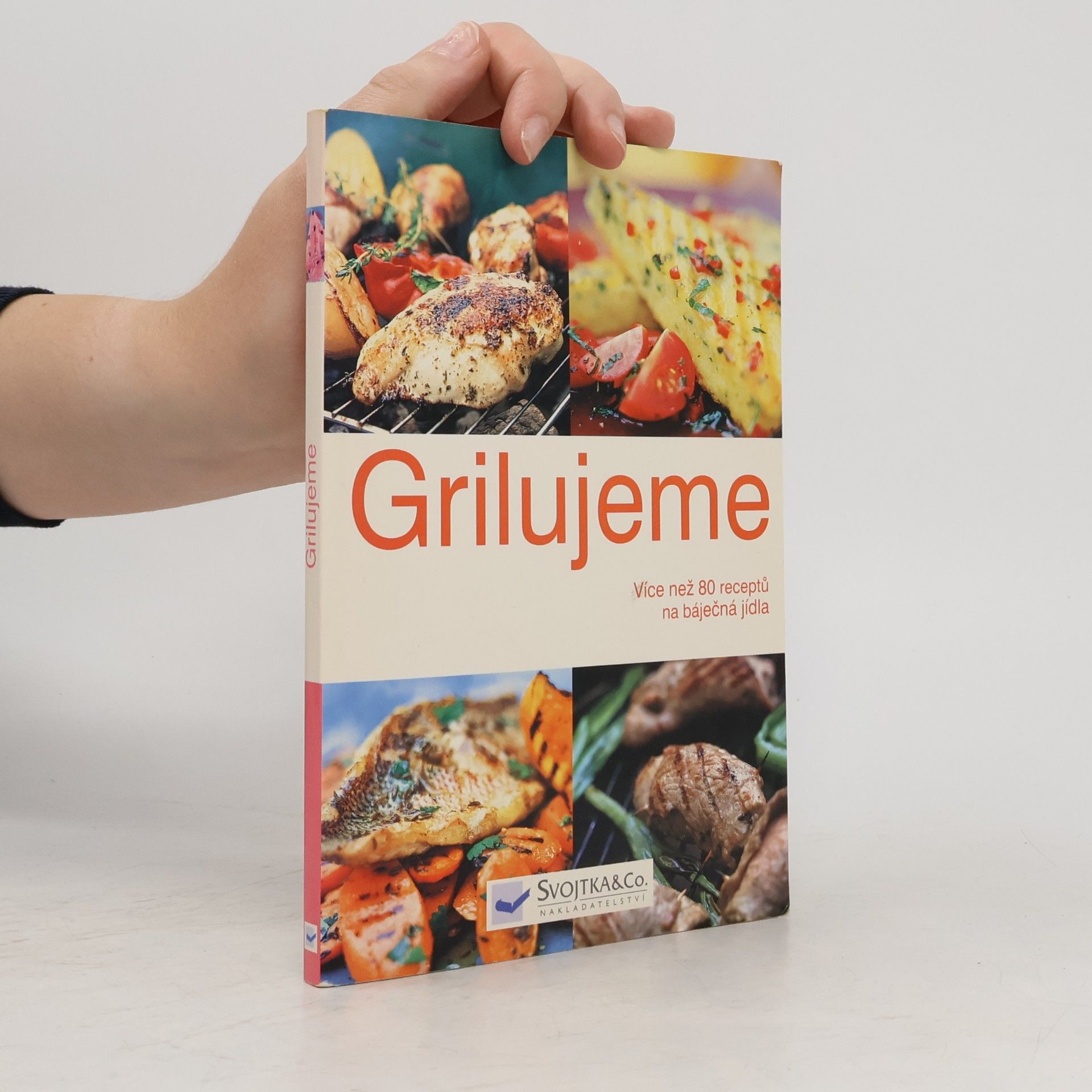 Autorenkollektiv Grilujeme: Více než 80 receptů na báječná jídl