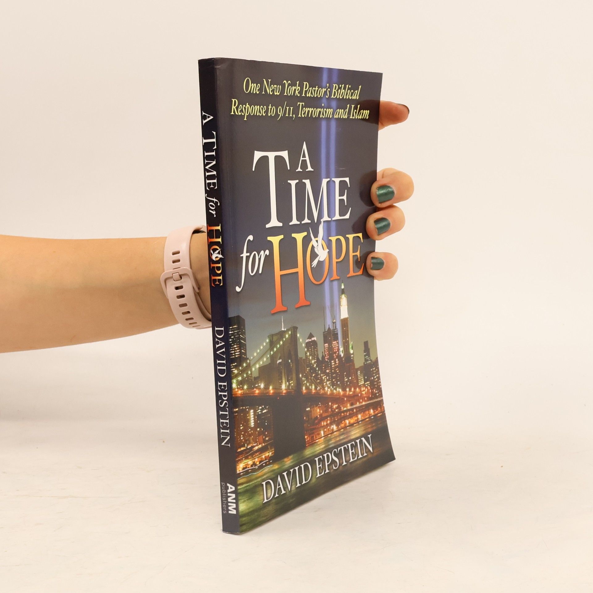 David Epstein A Time for Hope: One New York Pastor's Biblical Response to 9/11, Terrorism and Islam