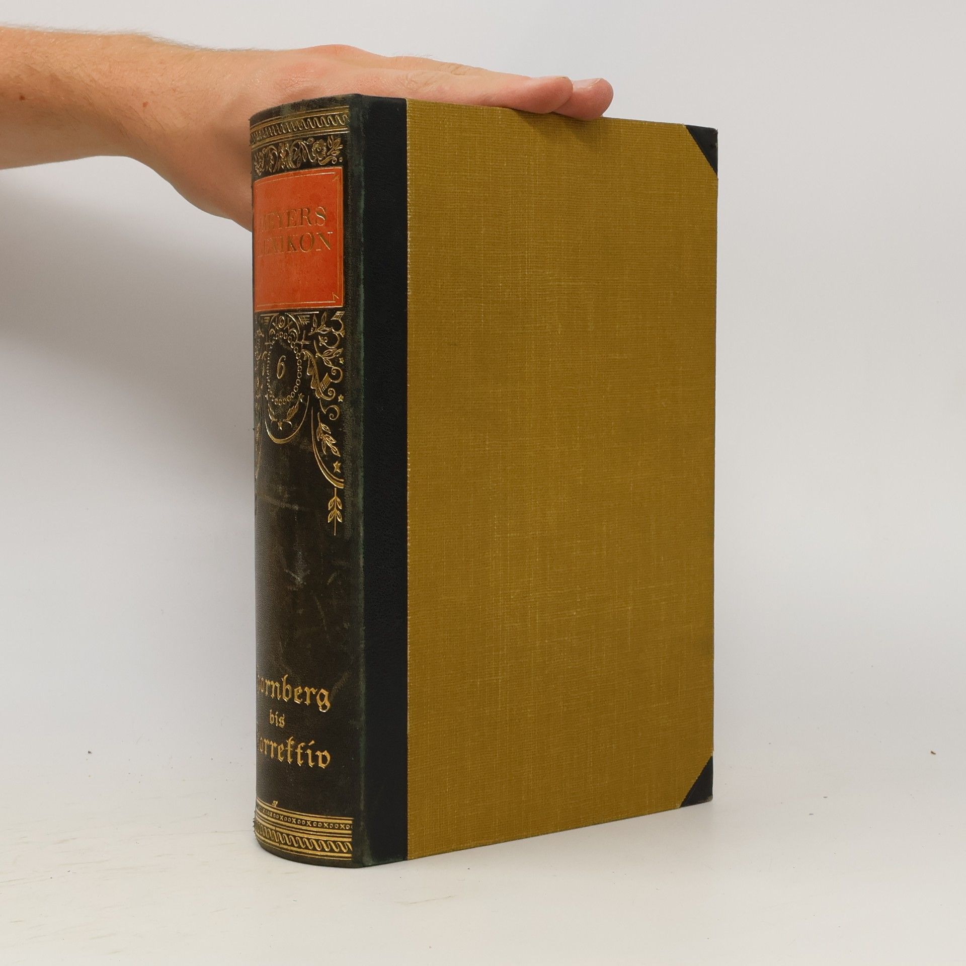 Collectif d'auteurs Meyers Lexikon 6. Hornberg - Korrektiv