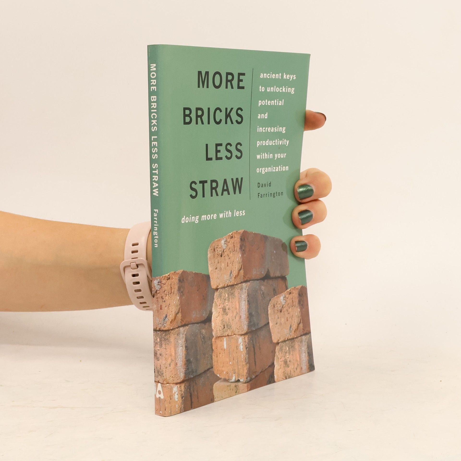 David P. Farrington More Bricks Less Straw