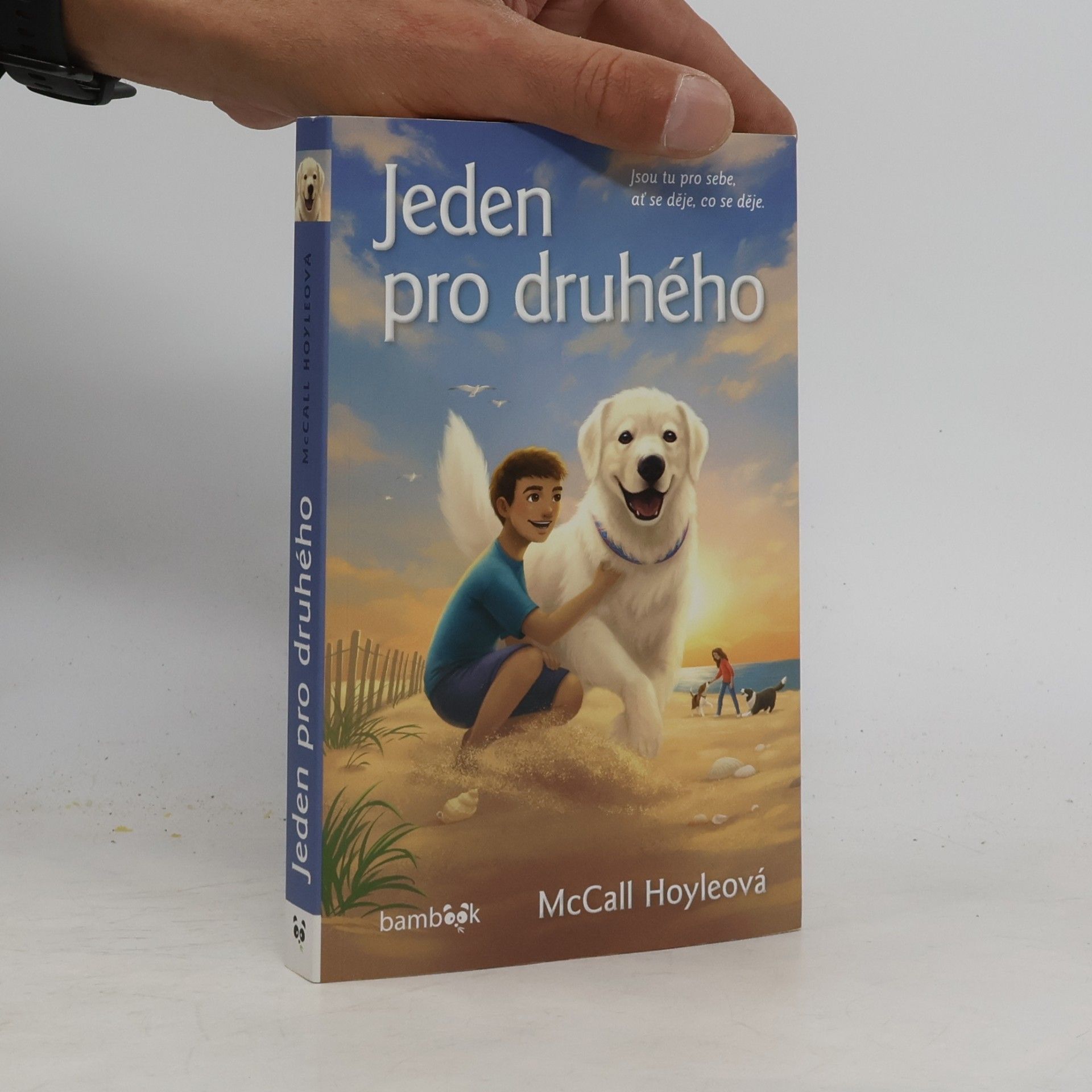 McCall Hoyle Jeden pro druhého