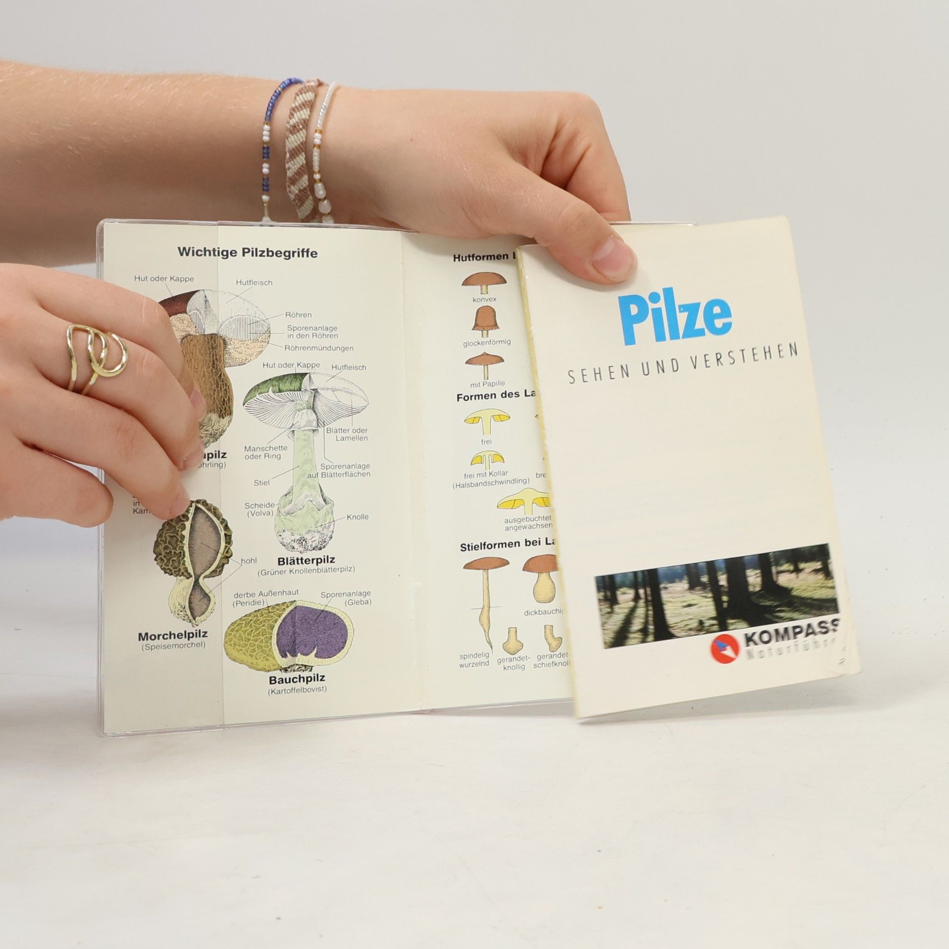 Christine Jaitner Pilze 1103