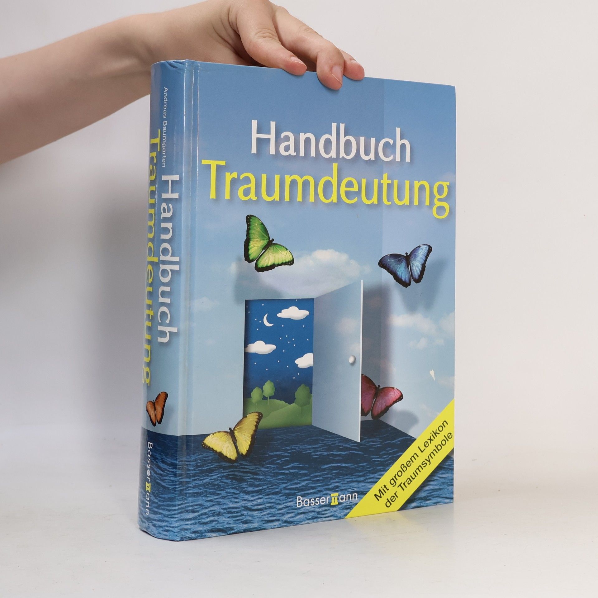 Birte Schrader Handbuch Traumdeutung