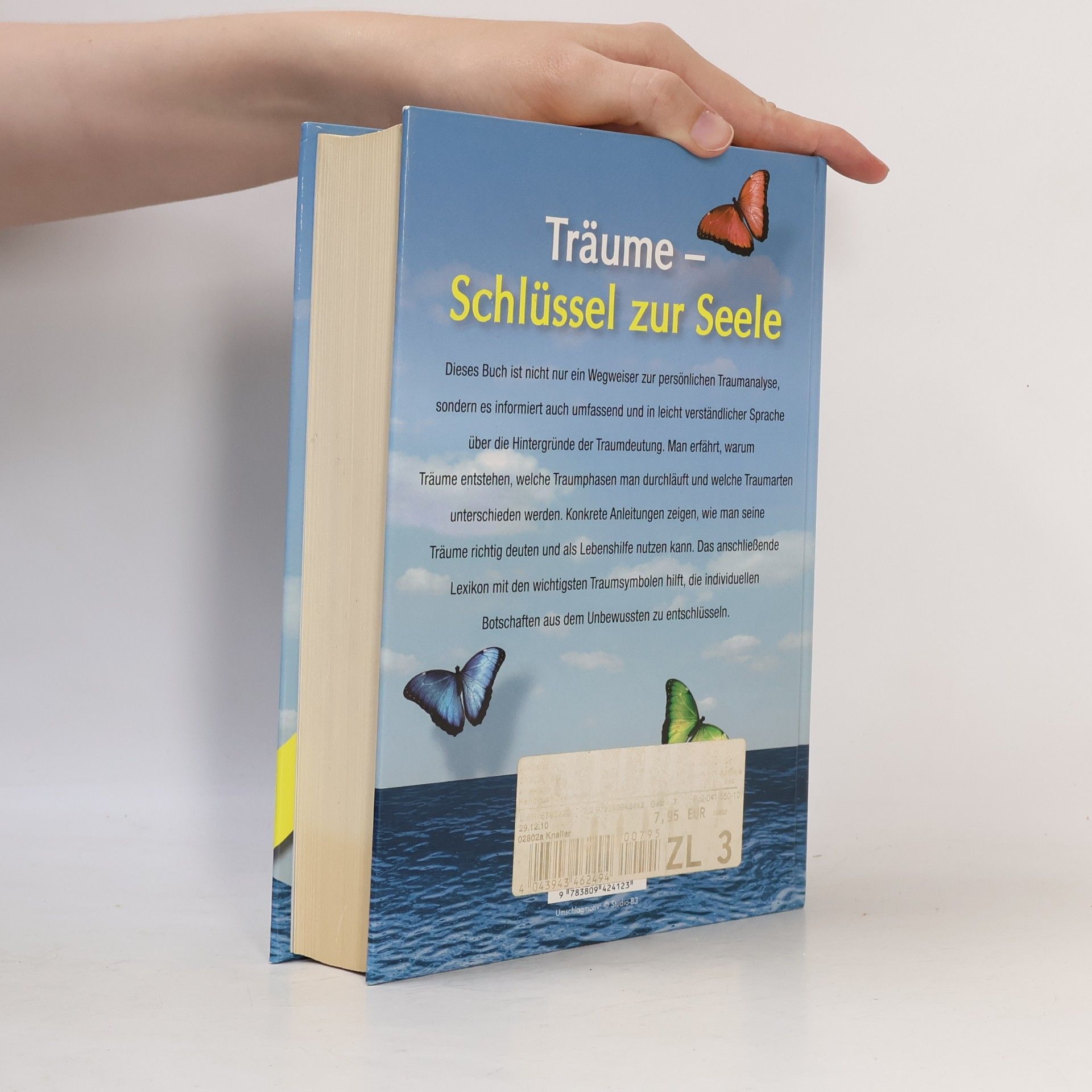 Birte Schrader Handbuch Traumdeutung