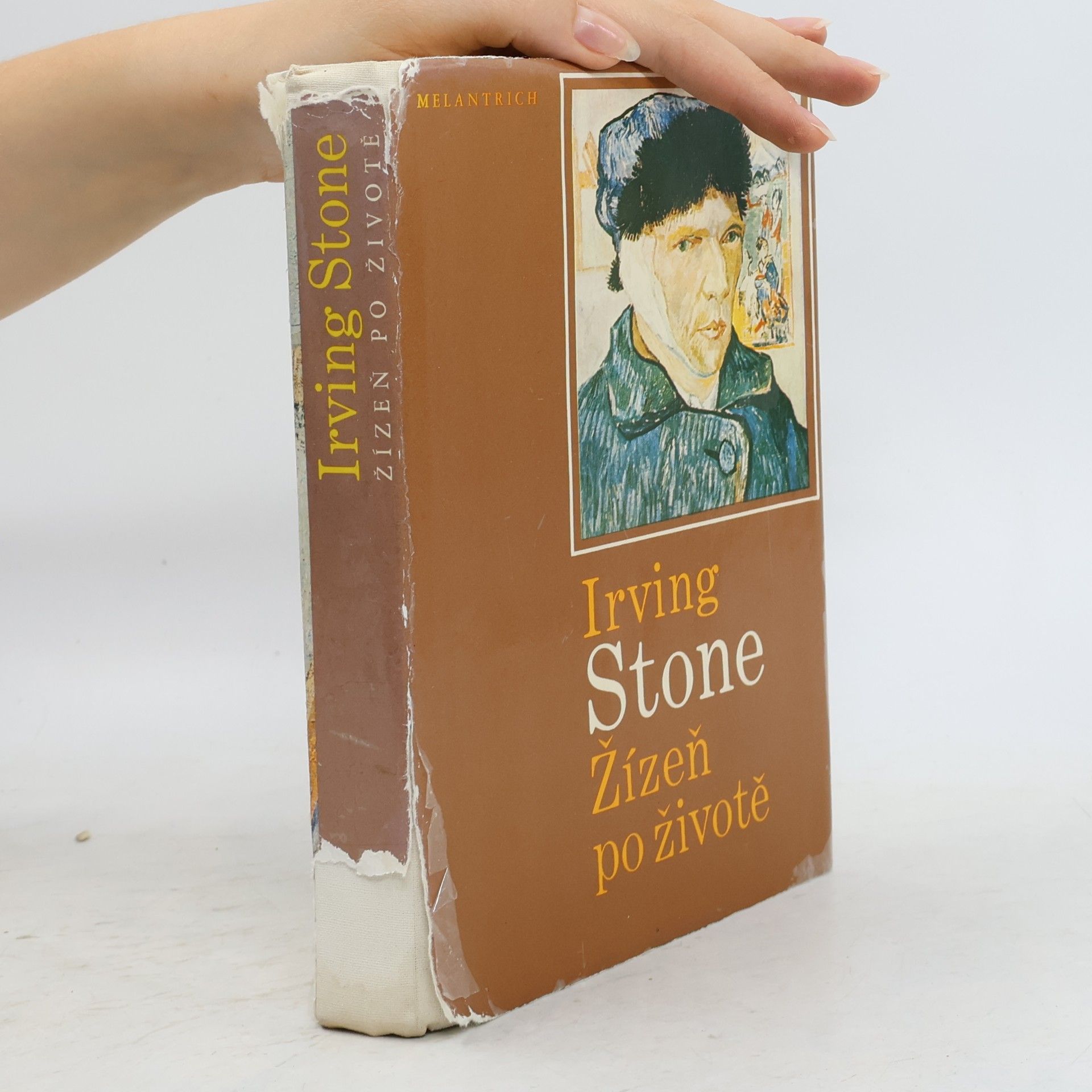 Irving Stone Žízeň po životě