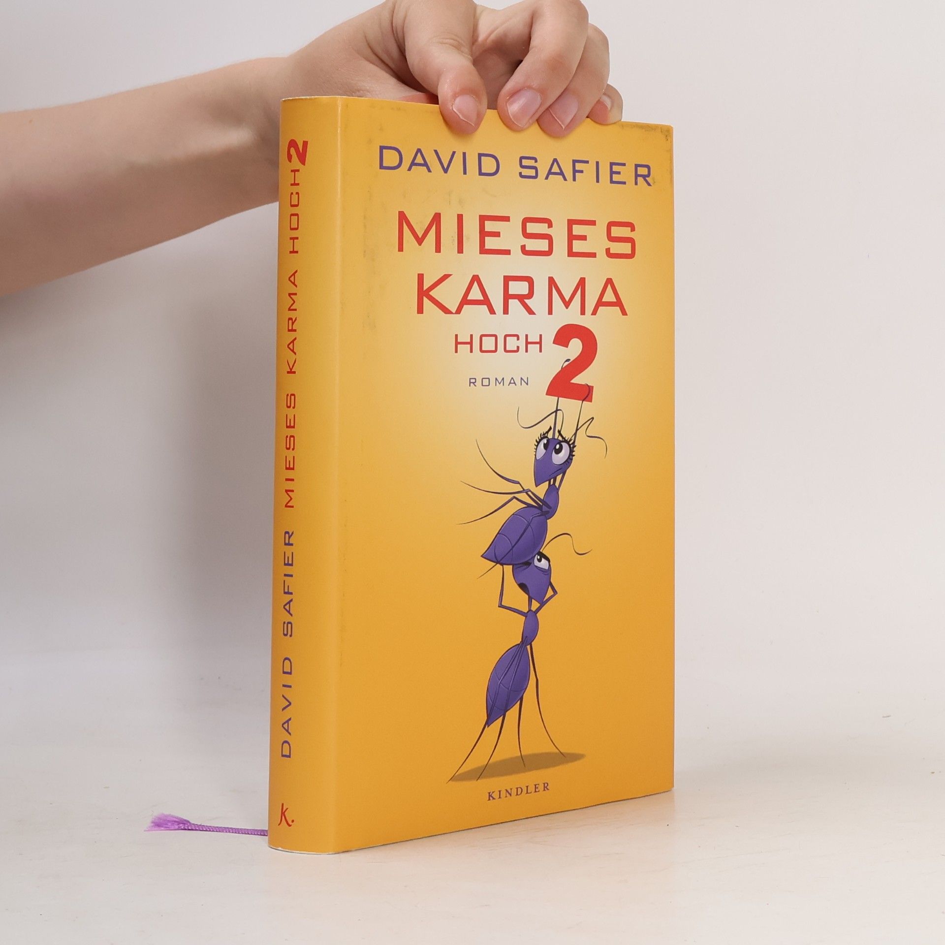 David Safier Mieses Karma hoch 2