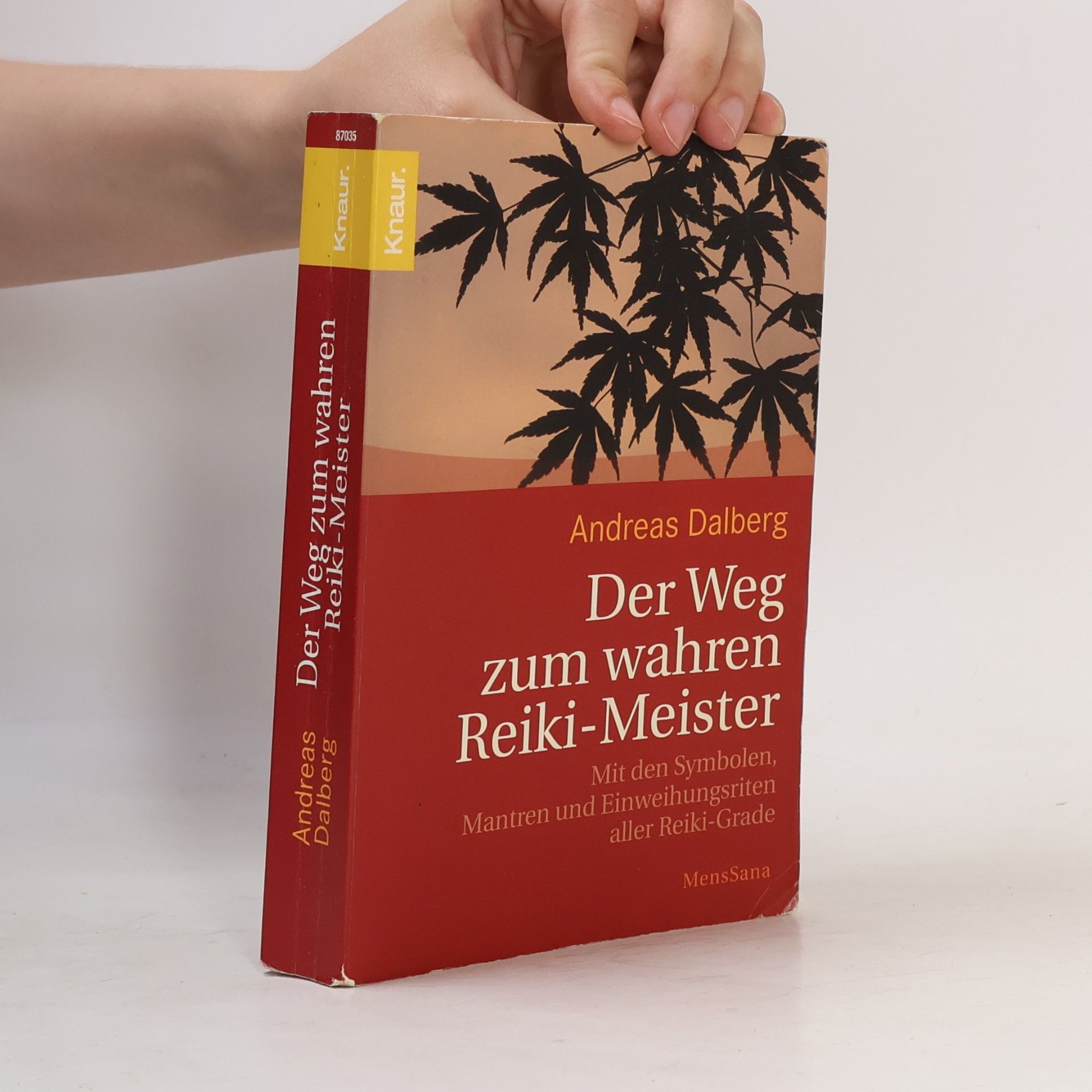 Der Weg zum wahren Reiki-Meister