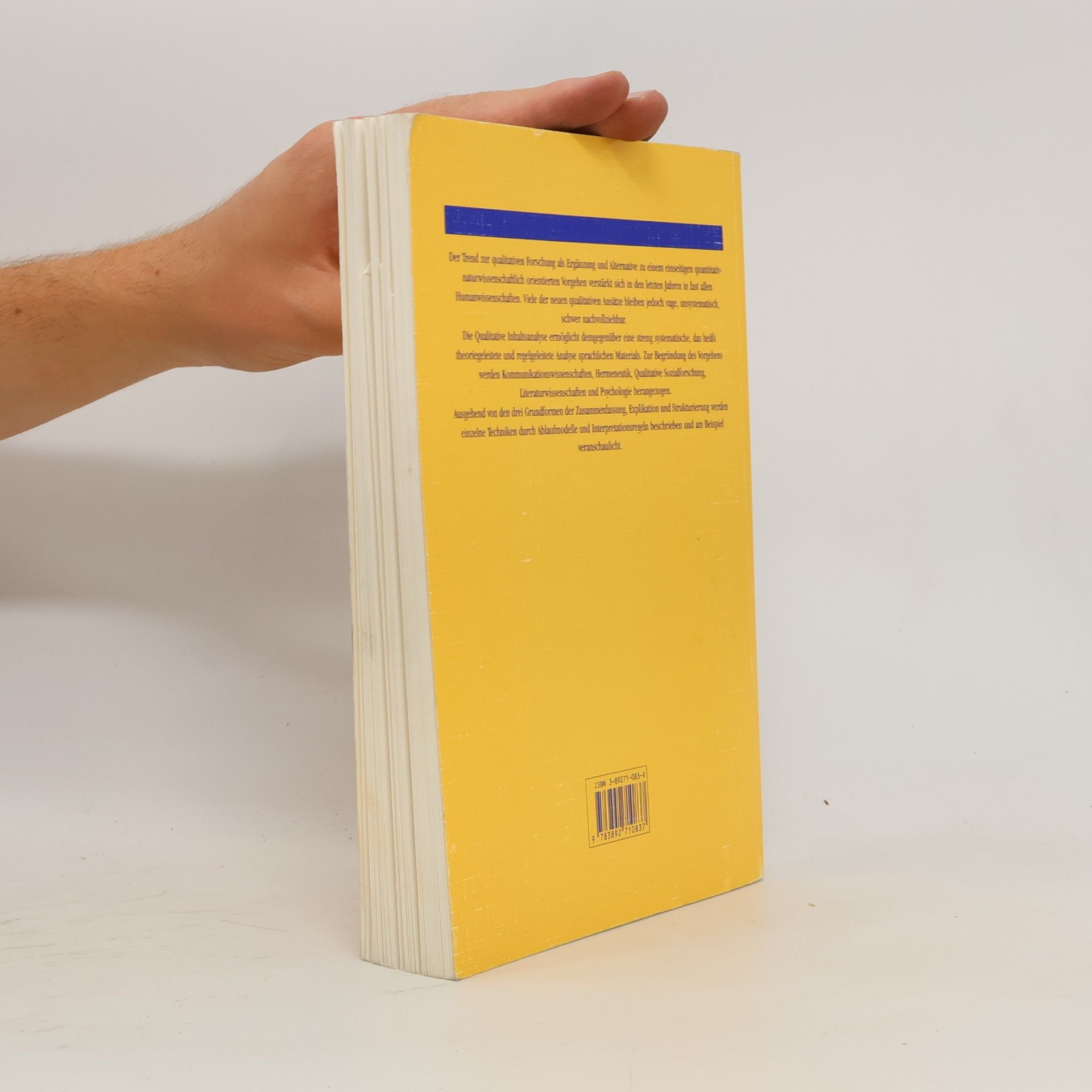 Philipp Mayring Qualitative Inhaltsanalyse