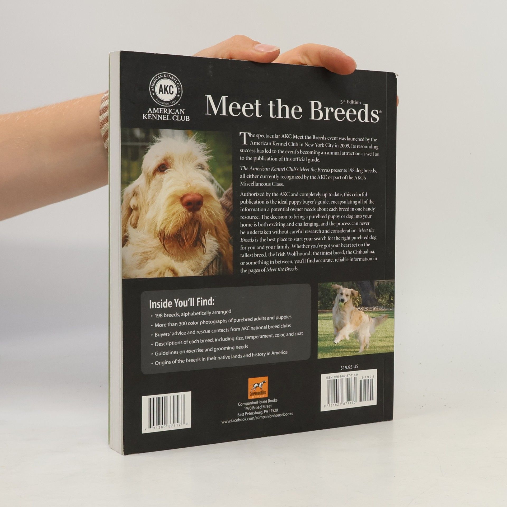 American Kennel Club Meet the Breeds
