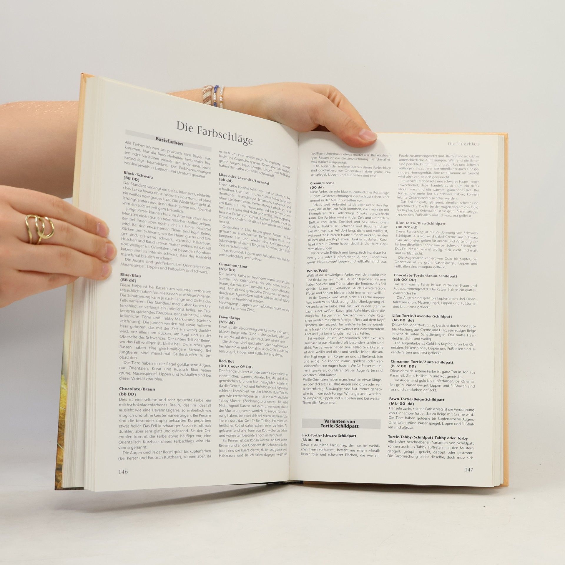Kolektív autorov Das grosse illustrierte Katzenbuch