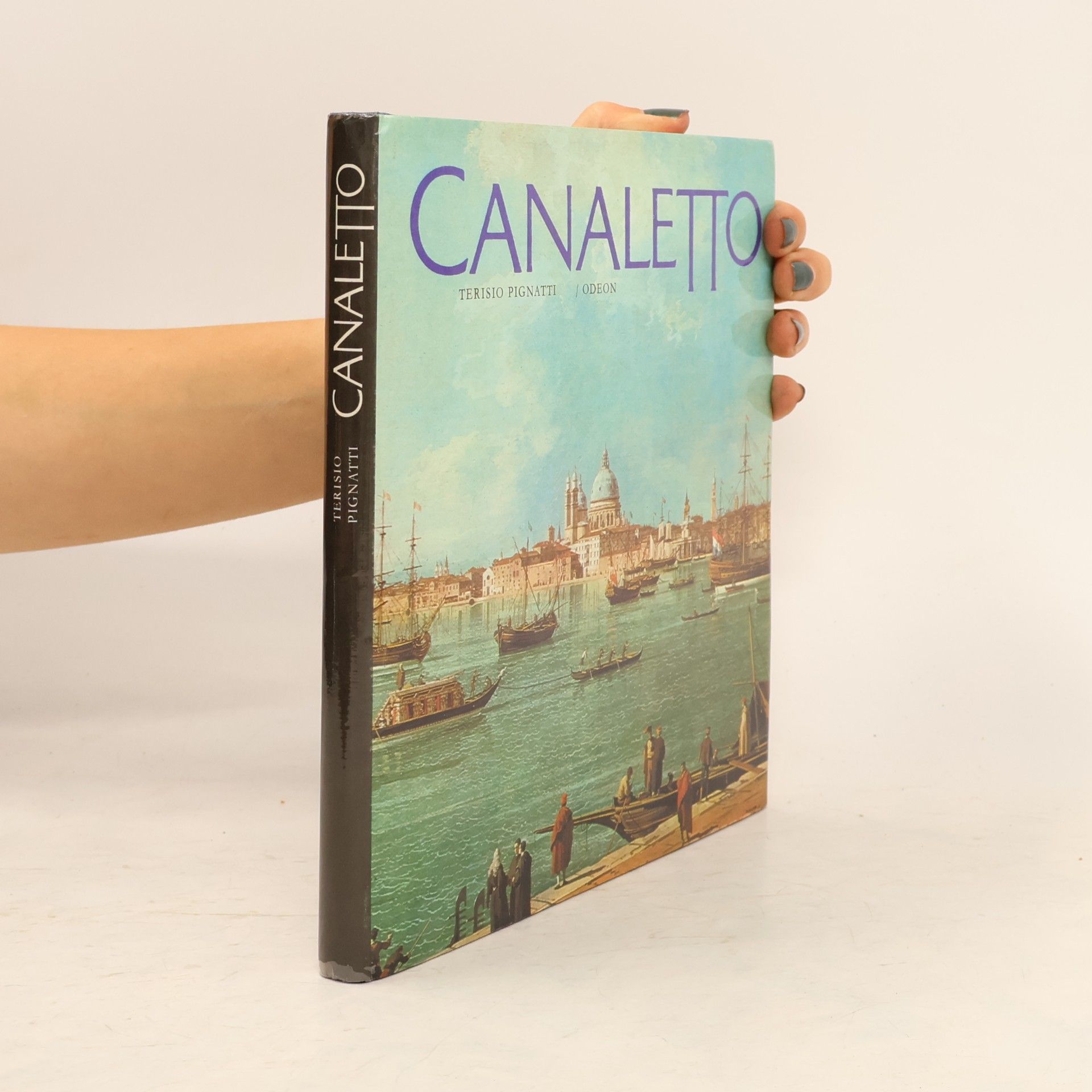 Terisio Pignatti Canaletto