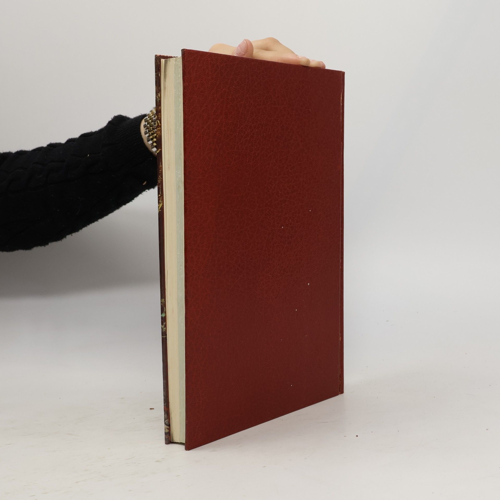 Autores varios Il Surrealismus