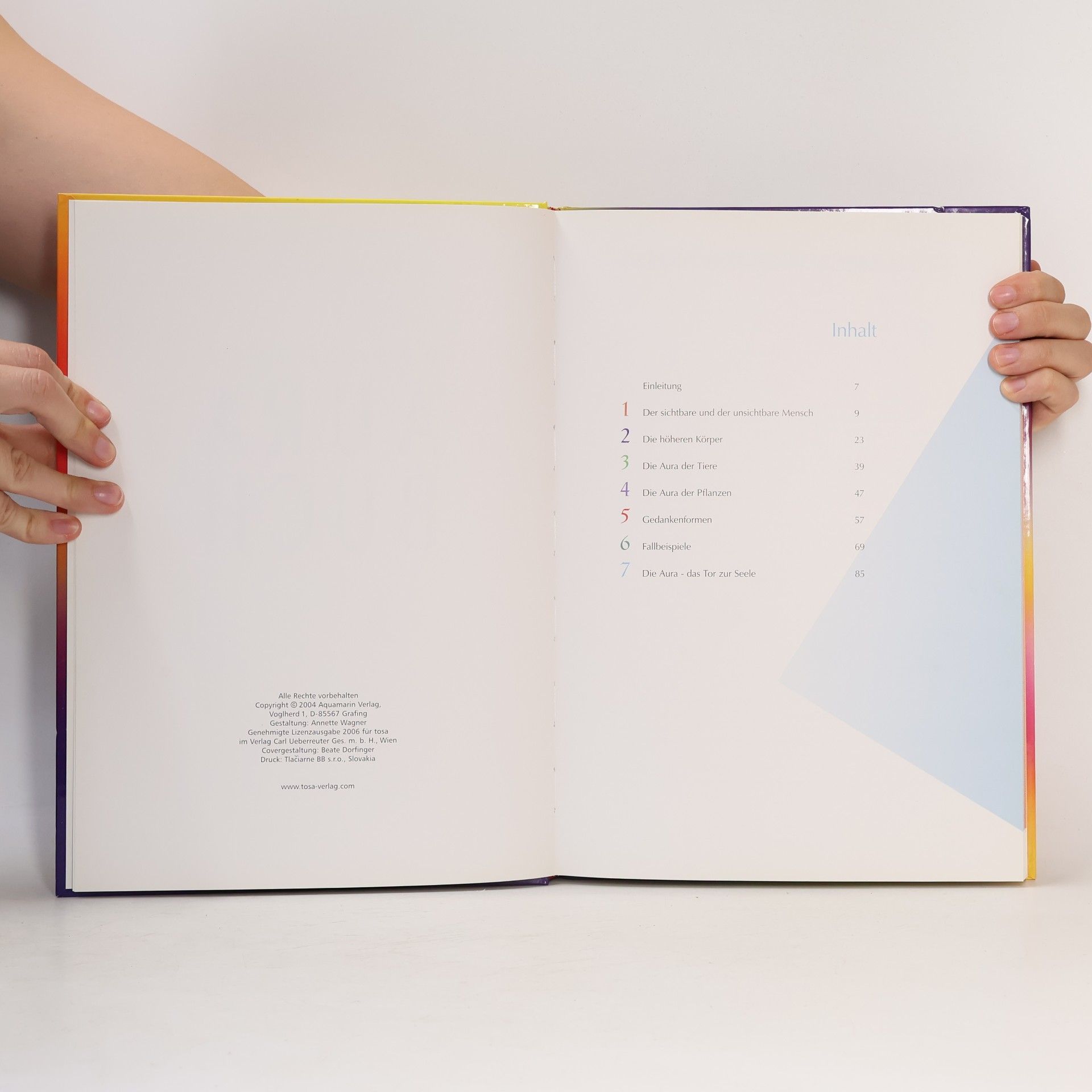 Peter Michel Das grosse Aura-Buch