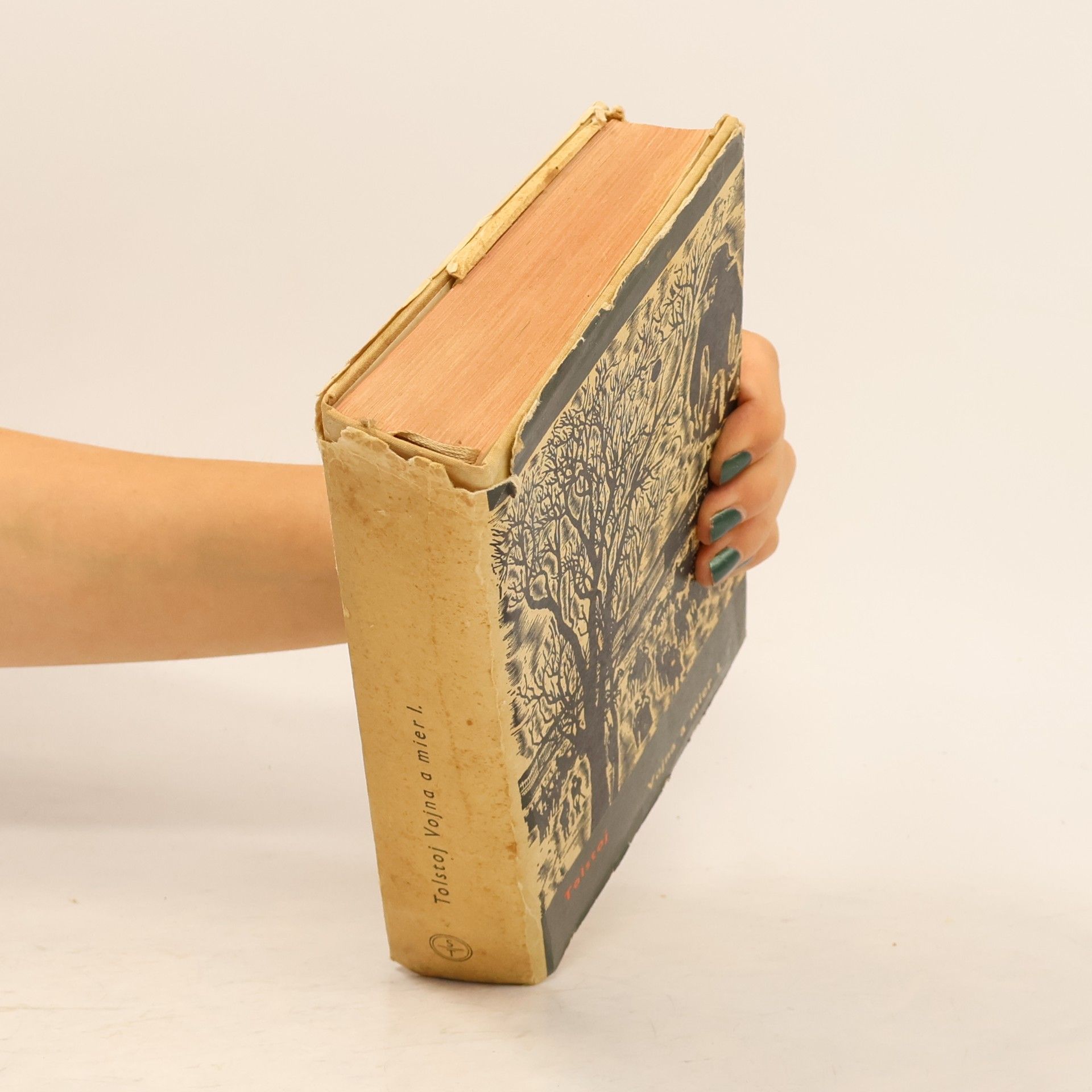 Lew Nikolajewitsch Tolstoi Vojna a mier I.