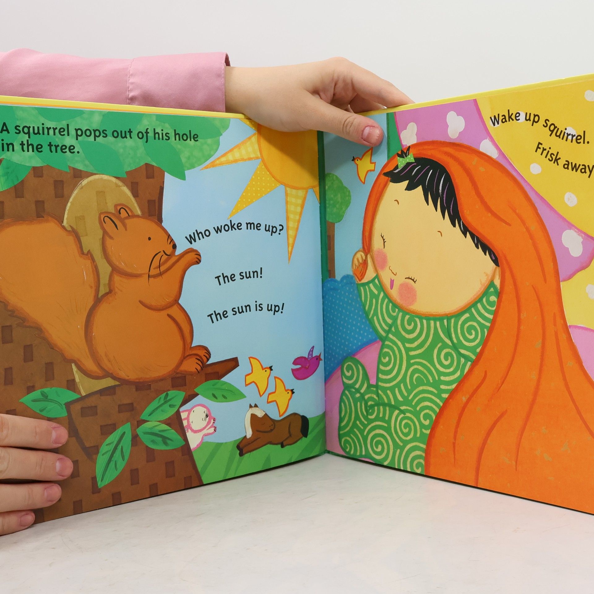 Margaret Brown A Child's Good Morning Book