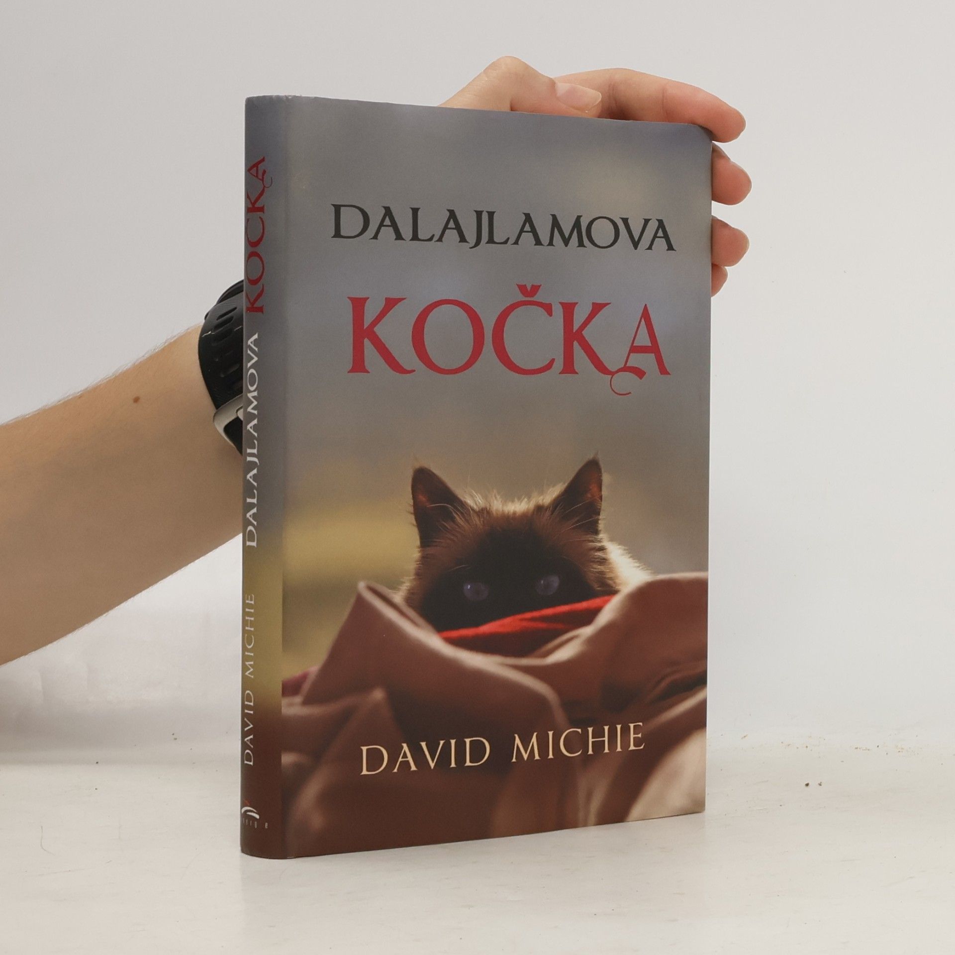David Michie Dalajlamova kočka