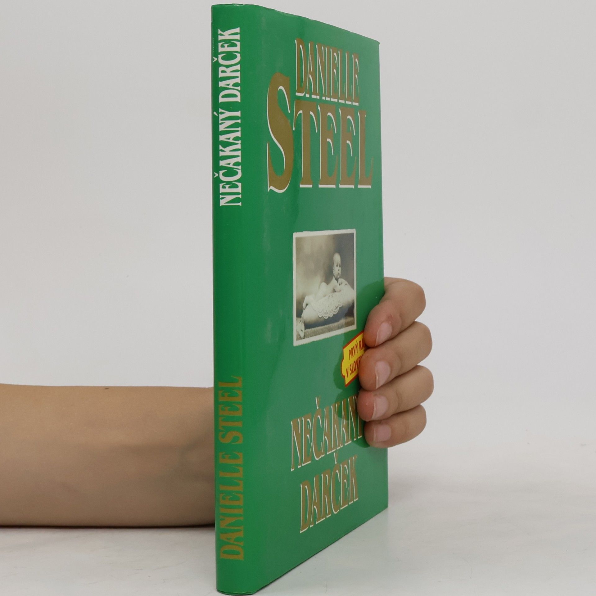 Danielle Steel Nečakaný darček
