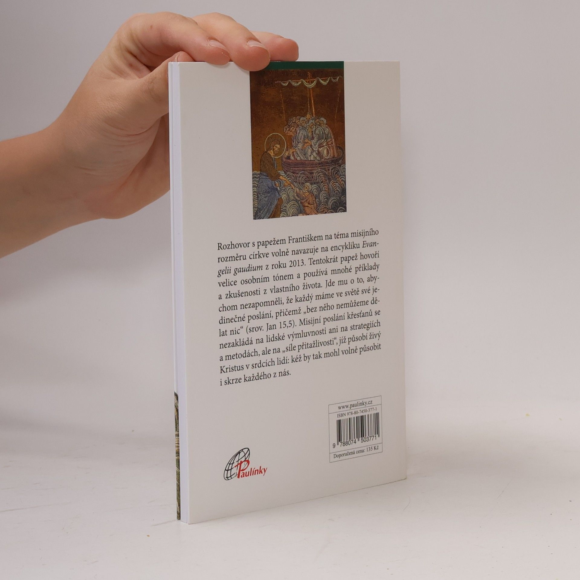 Papst Franziskus Všichni jsme misionáři