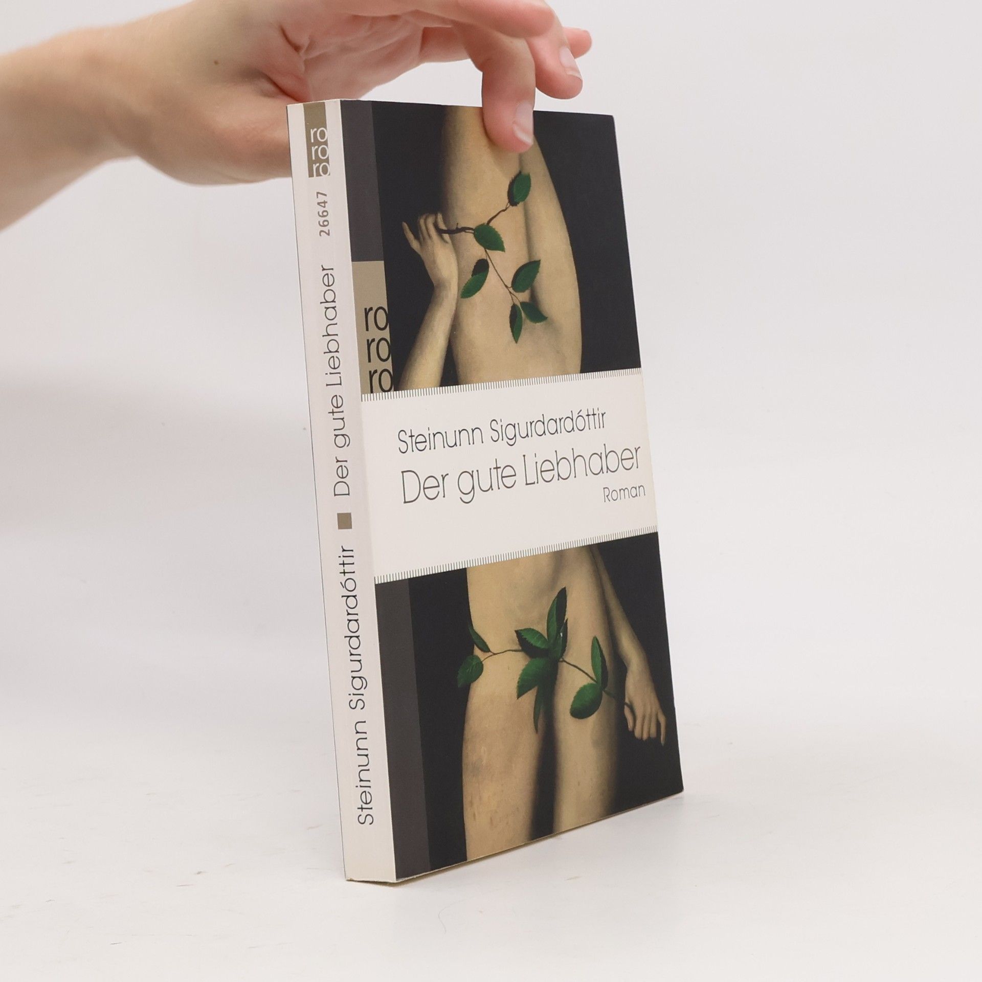 Steinunn Sigurðardóttir Der gute Liebhaber