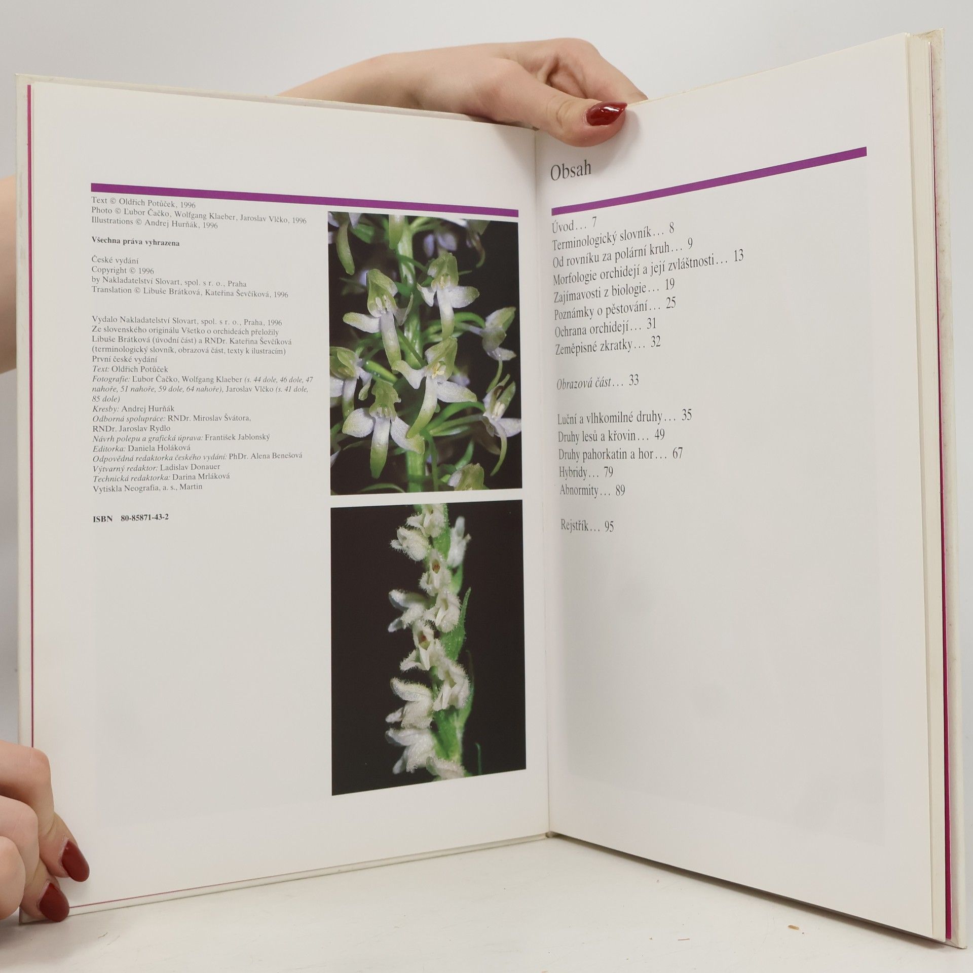 Čačko Lubor Potůček Oldřich Všechno o orchidejích