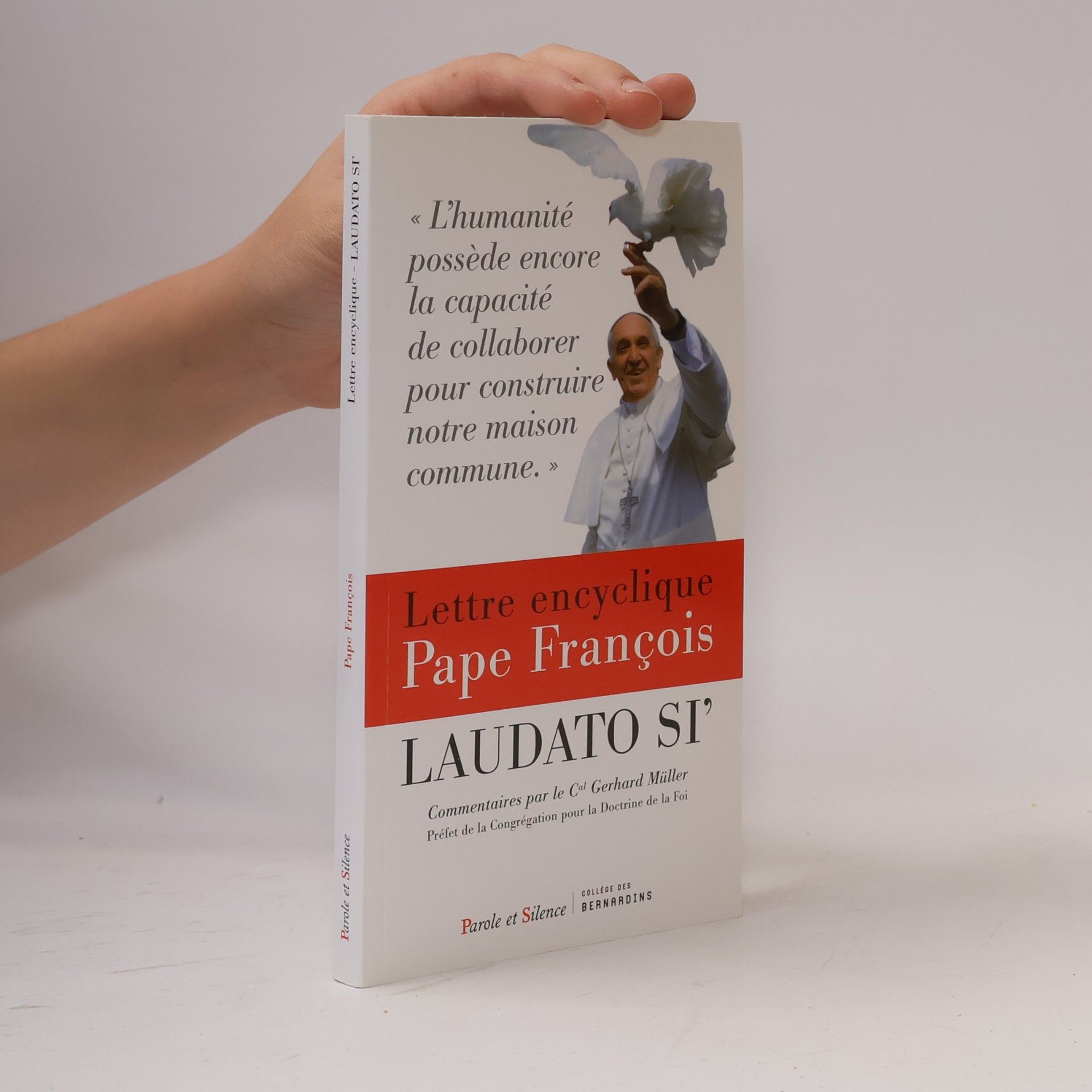 Pape François Lettre encyclique Laudato Si'