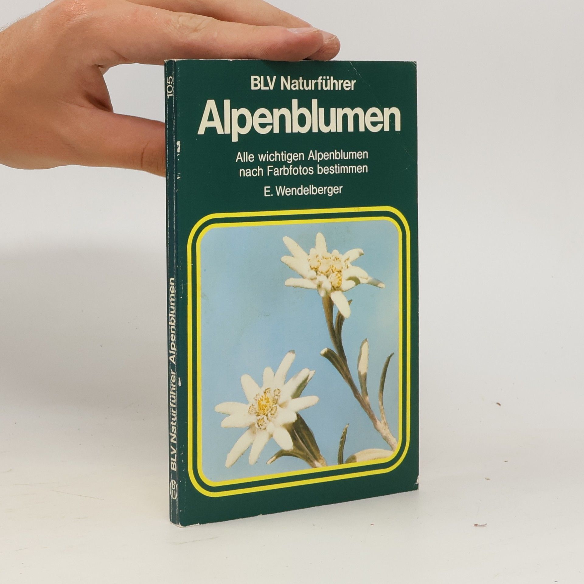 Elfrune Wendelberger Alpenblumen