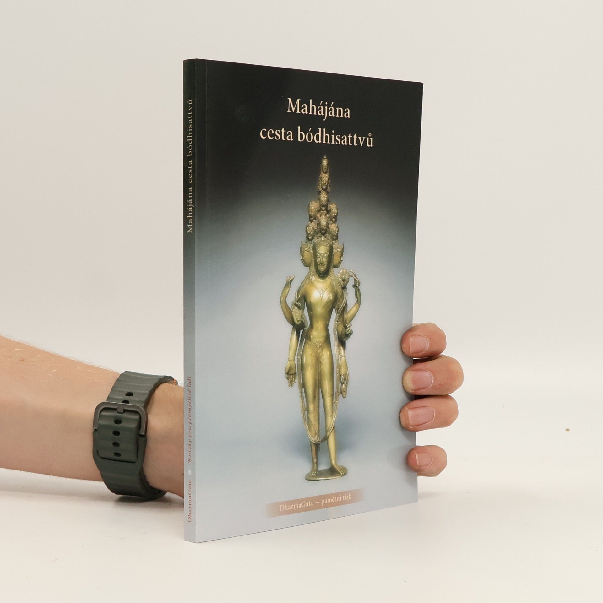 Various authors Mahájána - cesta bódhisattvů