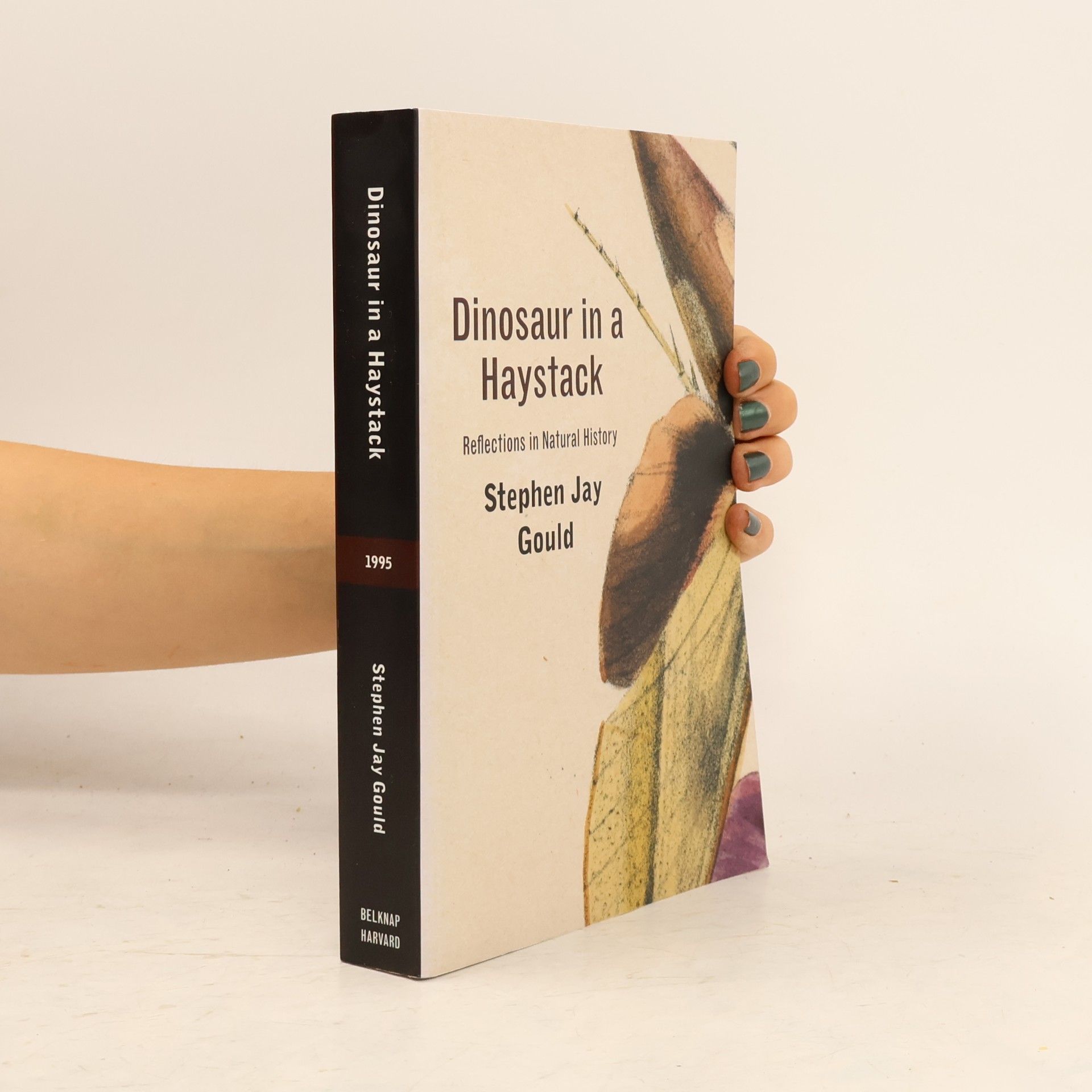 Stephen Jay Gould Dinosaur in a Haystack